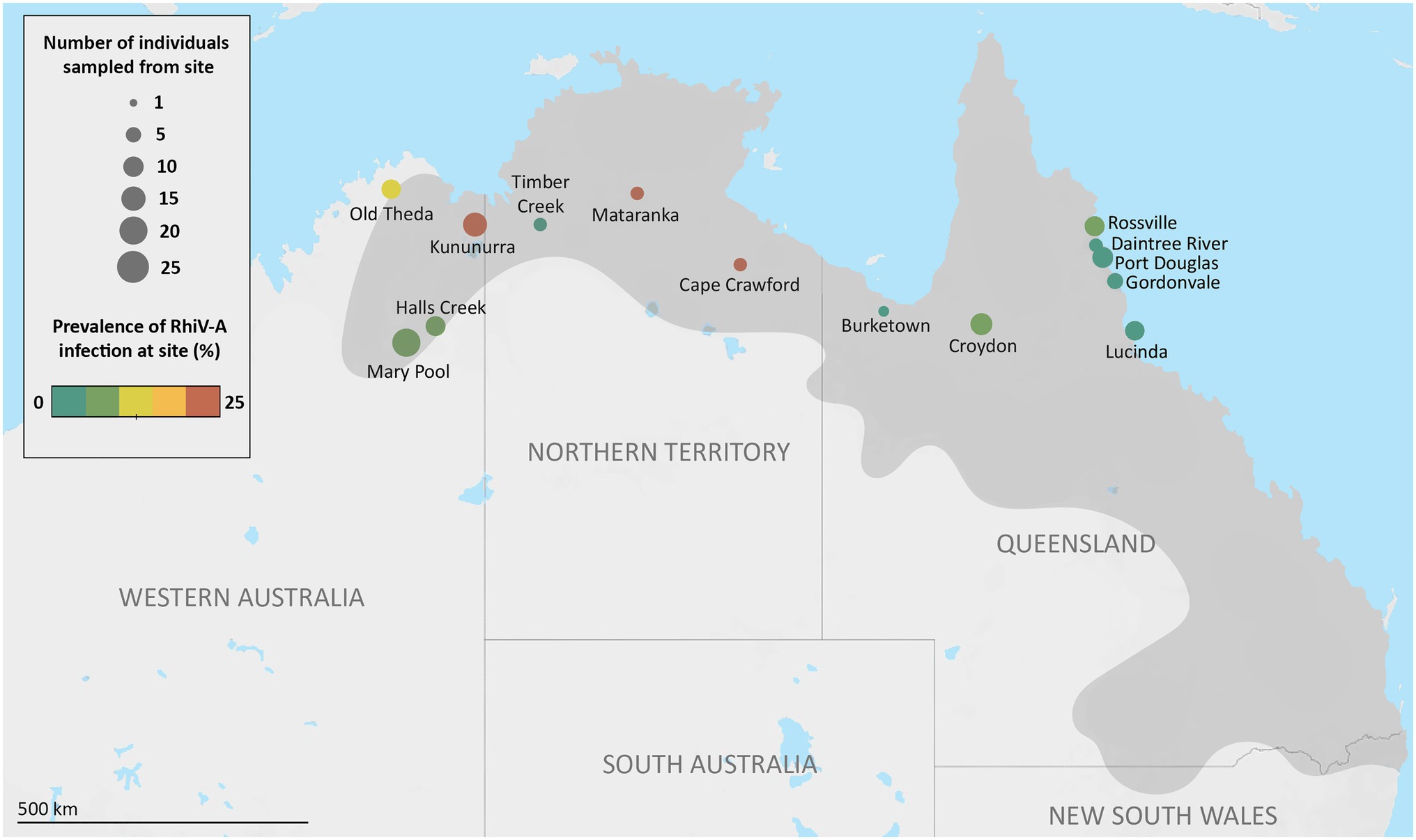 Frontiers  Discovery of Novel Viruses Associated With the Invasive Cane  Toad (Rhinella marina) in Its Native and Introduced Ranges