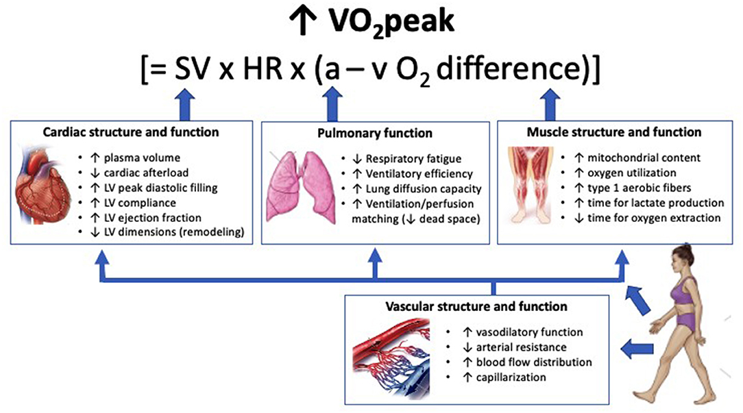 PDF) The Efficacy of Goal Setting in Cardiac Rehabilitation - a