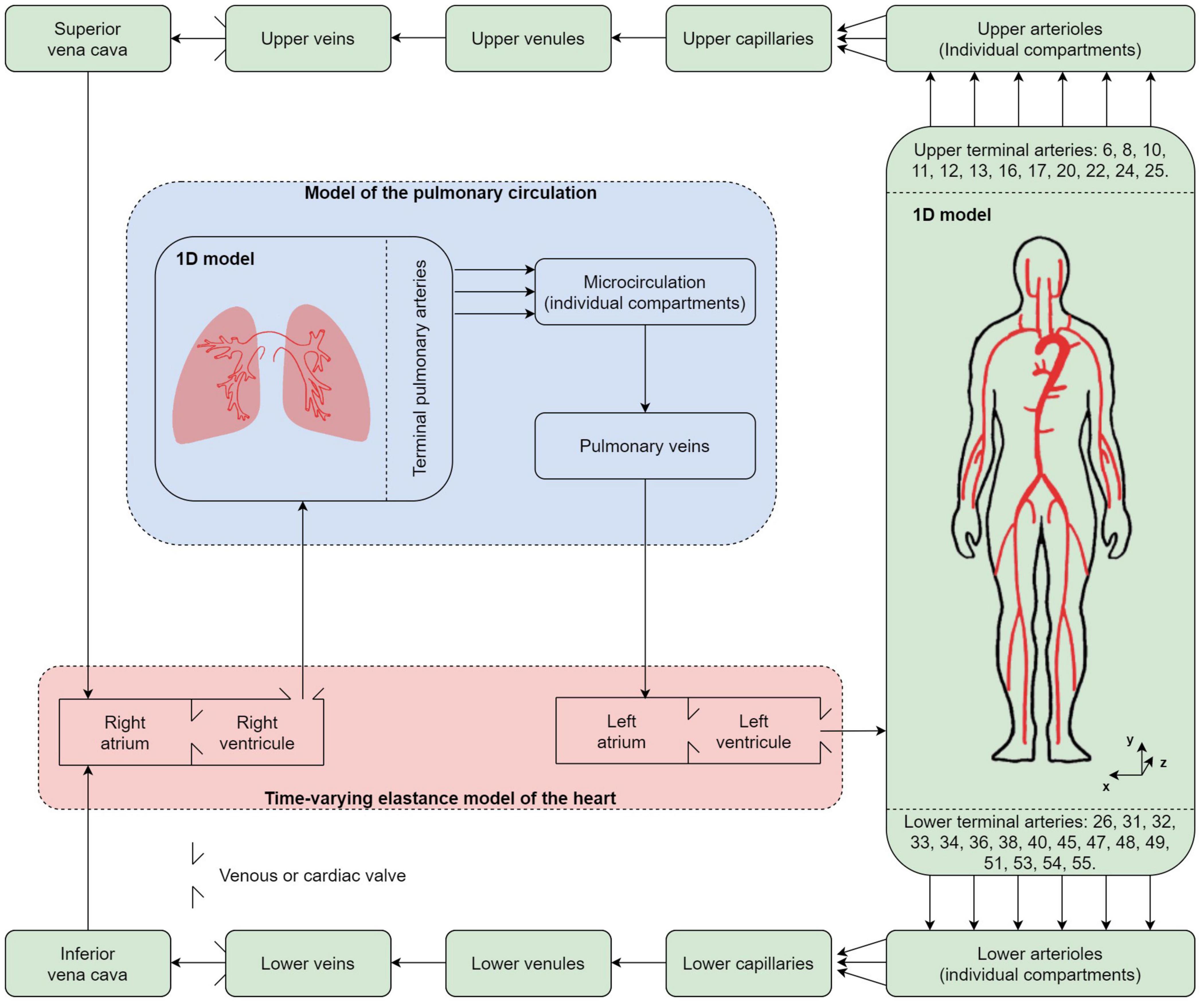 Model of VRP Assumptions (1) The selected locations are known, and