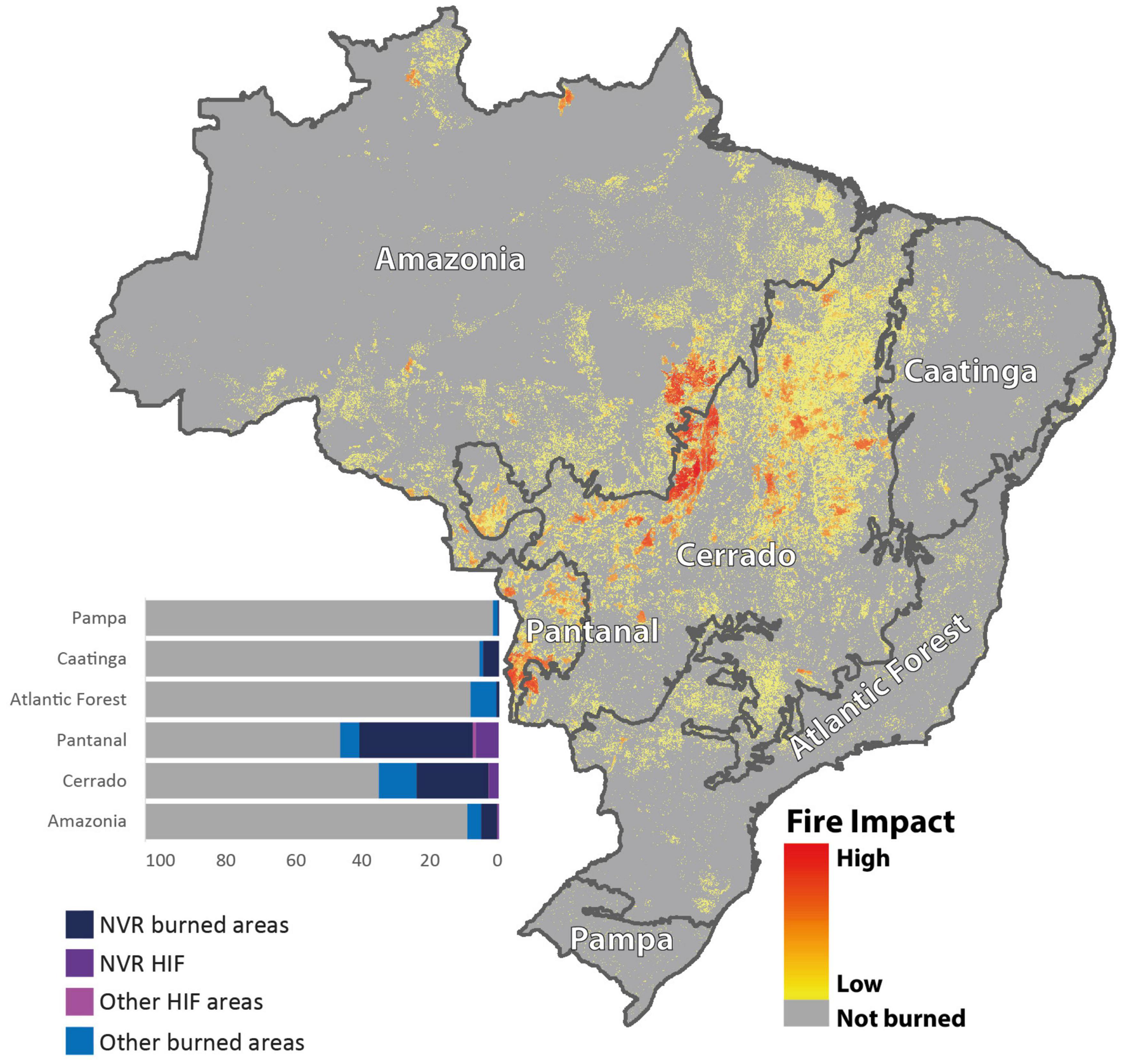 Spatial and temporal expansion of global wildland fire activity in response  to climate change