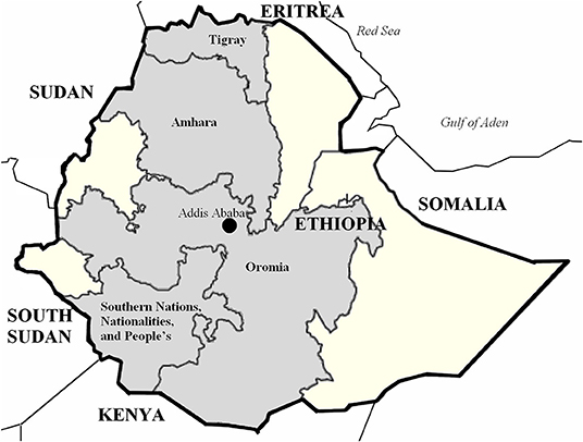 www.frontiersin.org