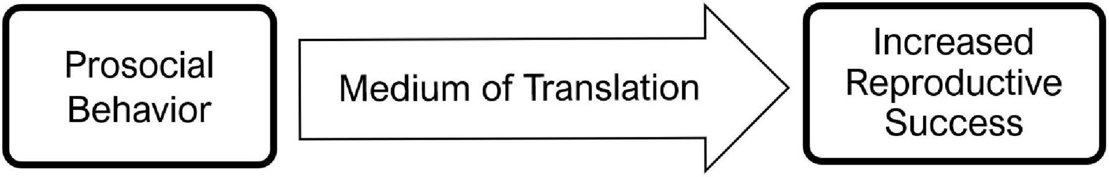 www.frontiersin.org