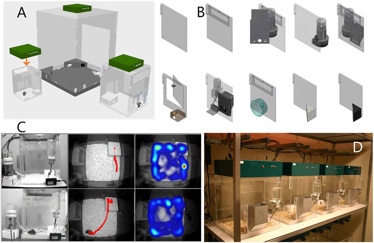 Cage-change interval preference in mice