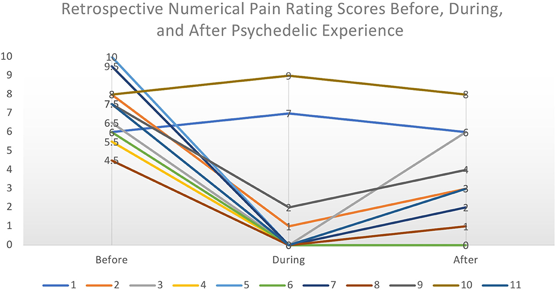 Frontiers | Self-Medication for Chronic Pain Using Classic Psychedelics: A Qualitative Investigation to Inform Future Research | Psychiatry