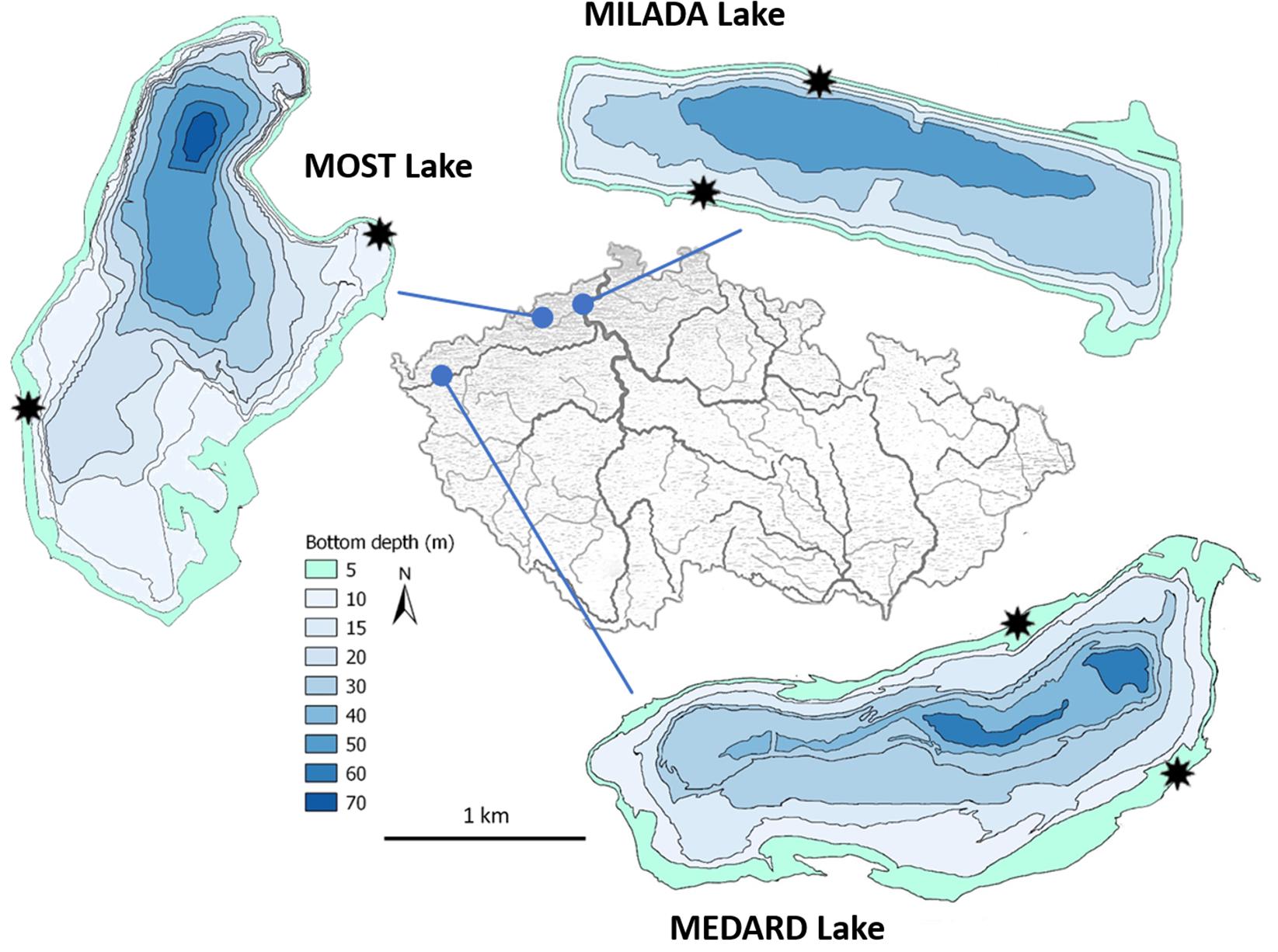 Base map highlighting coal mine blocks and potential pond site.