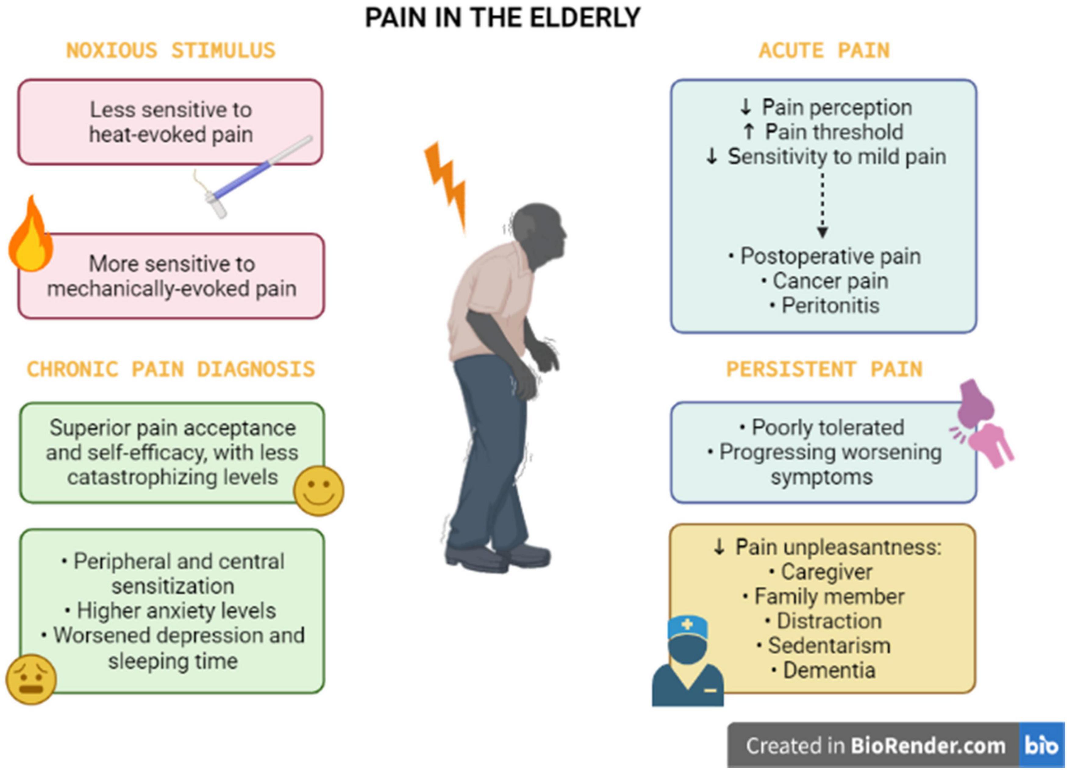 Frontiers | Chronic Pain in the Elderly: Mechanisms and Perspectives