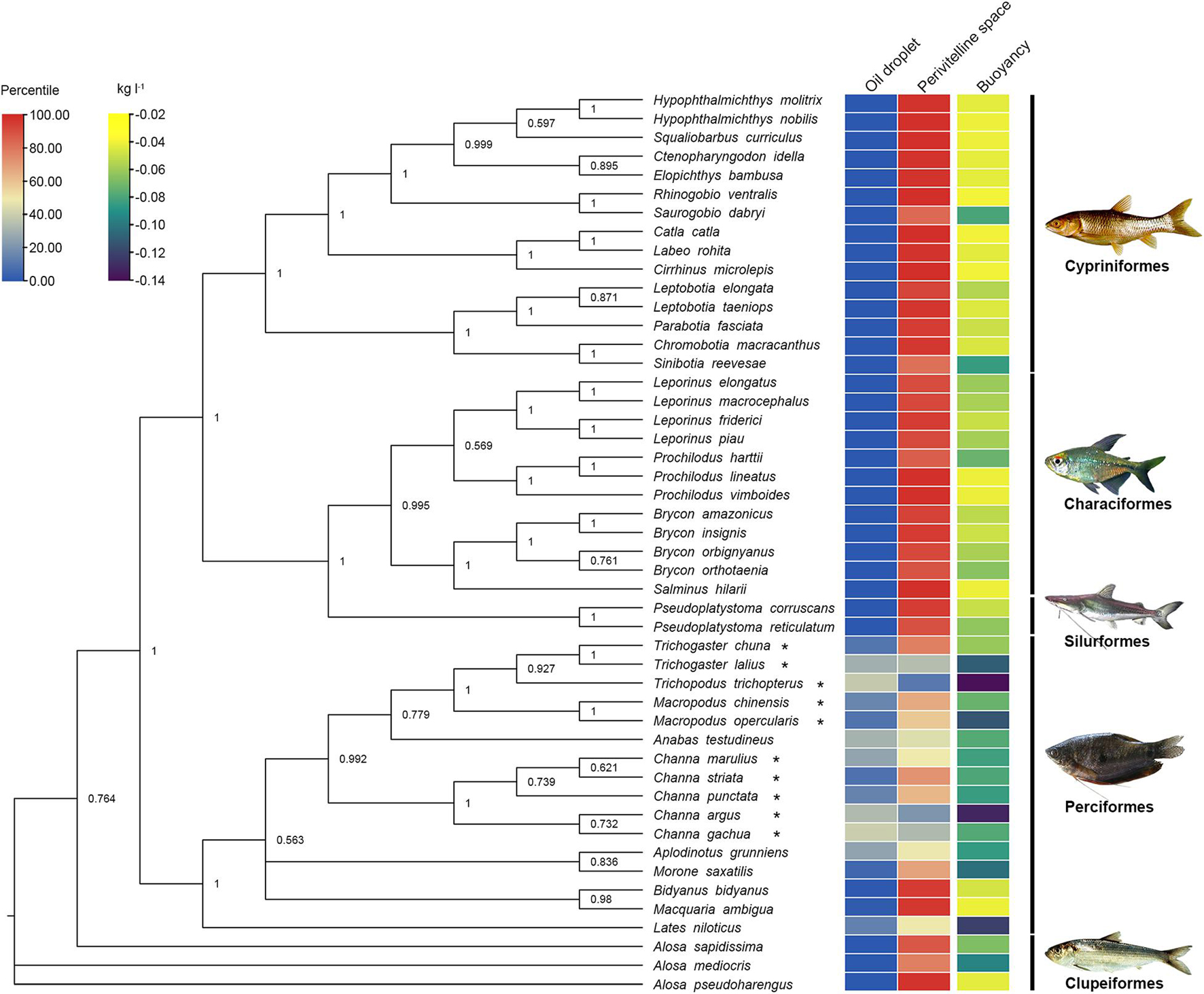 Frontiers  The Evolution of Alternative Buoyancy Mechanisms in Freshwater  Fish Eggs