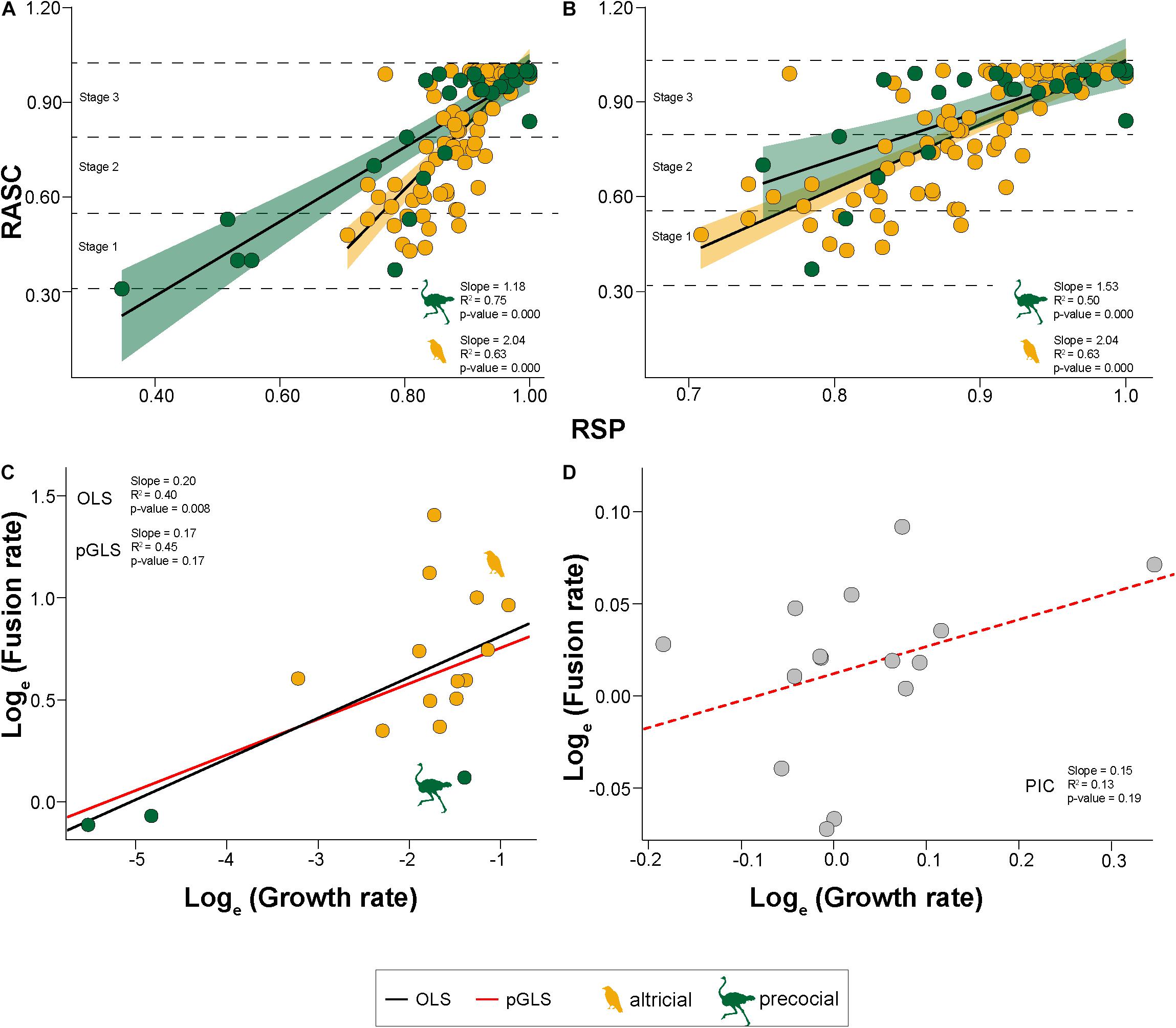 Frontiers  Common Patterns of Skull Bone Fusion and Their Potential to  Discriminate Different Ontogenetic Stages in Extant Birds