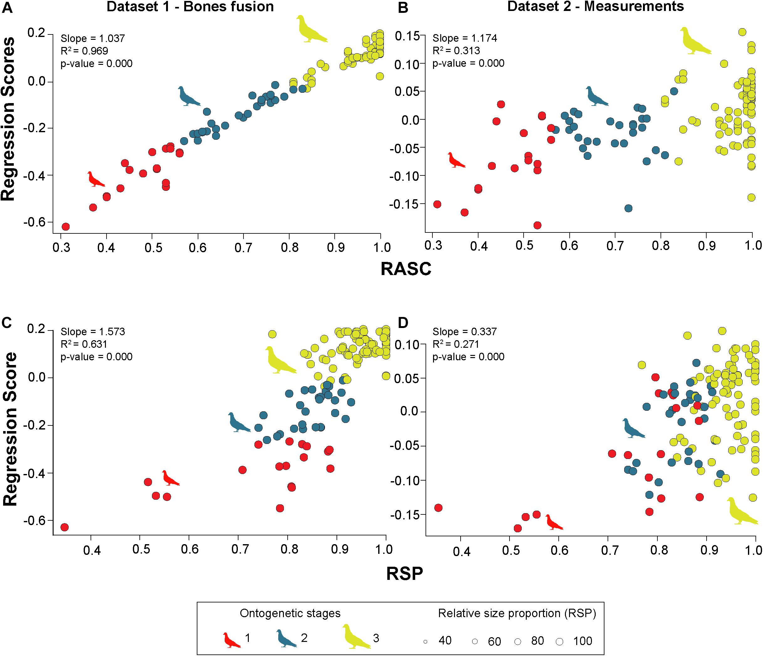 Frontiers  Common Patterns of Skull Bone Fusion and Their Potential to  Discriminate Different Ontogenetic Stages in Extant Birds