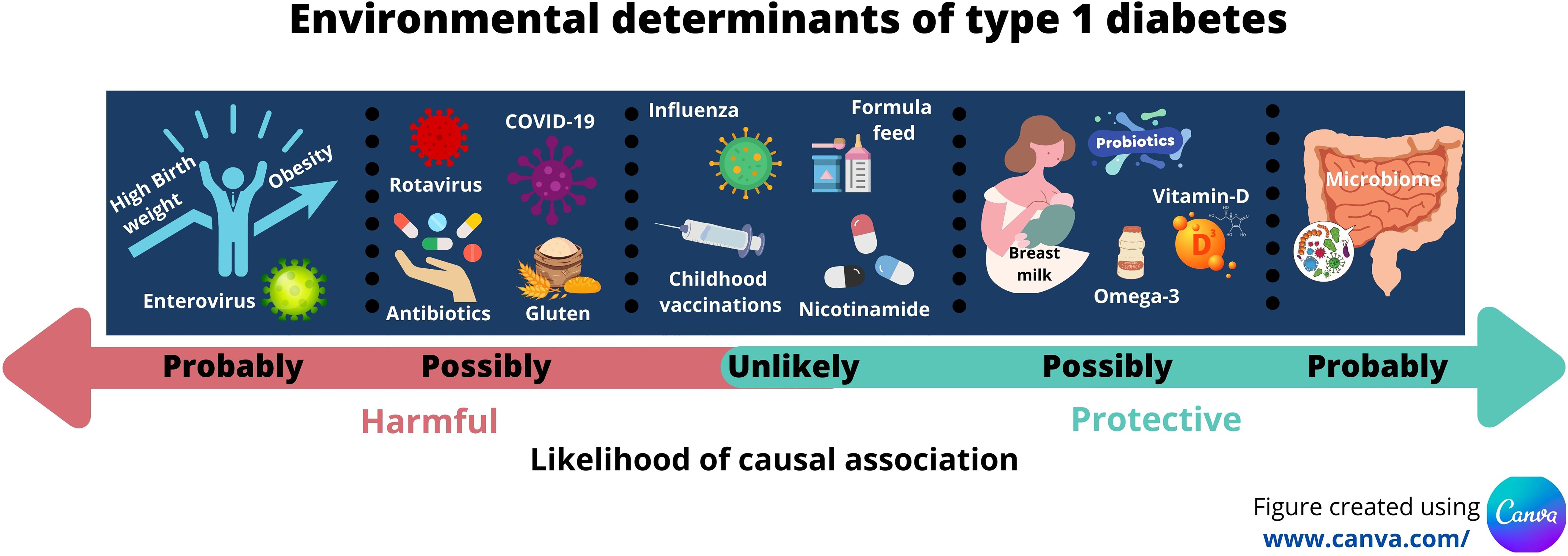 hygiene hypothesis type 1 diabetes