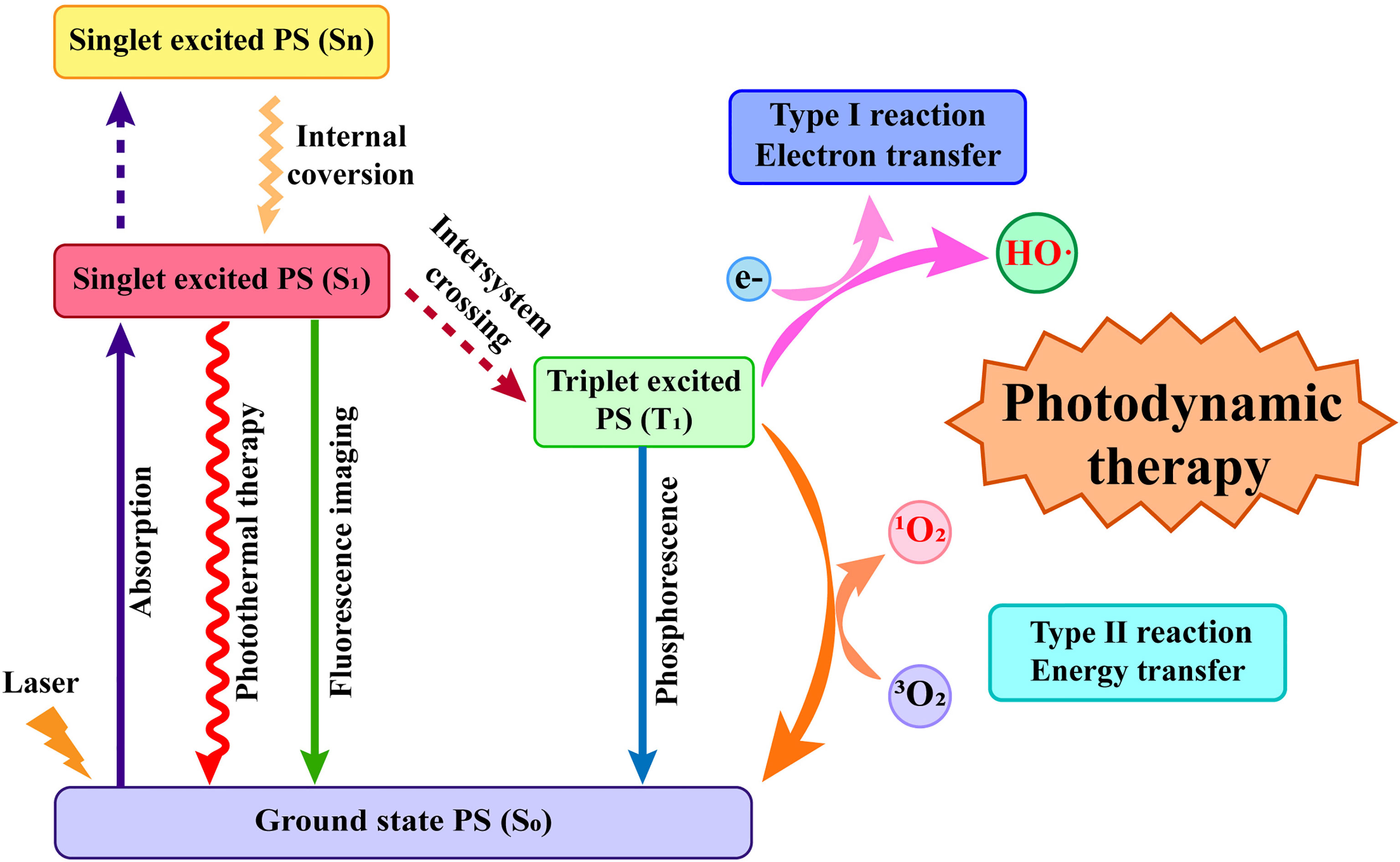 Frontiers Current Strategies For Tumor Photodynamic Therapy Combined