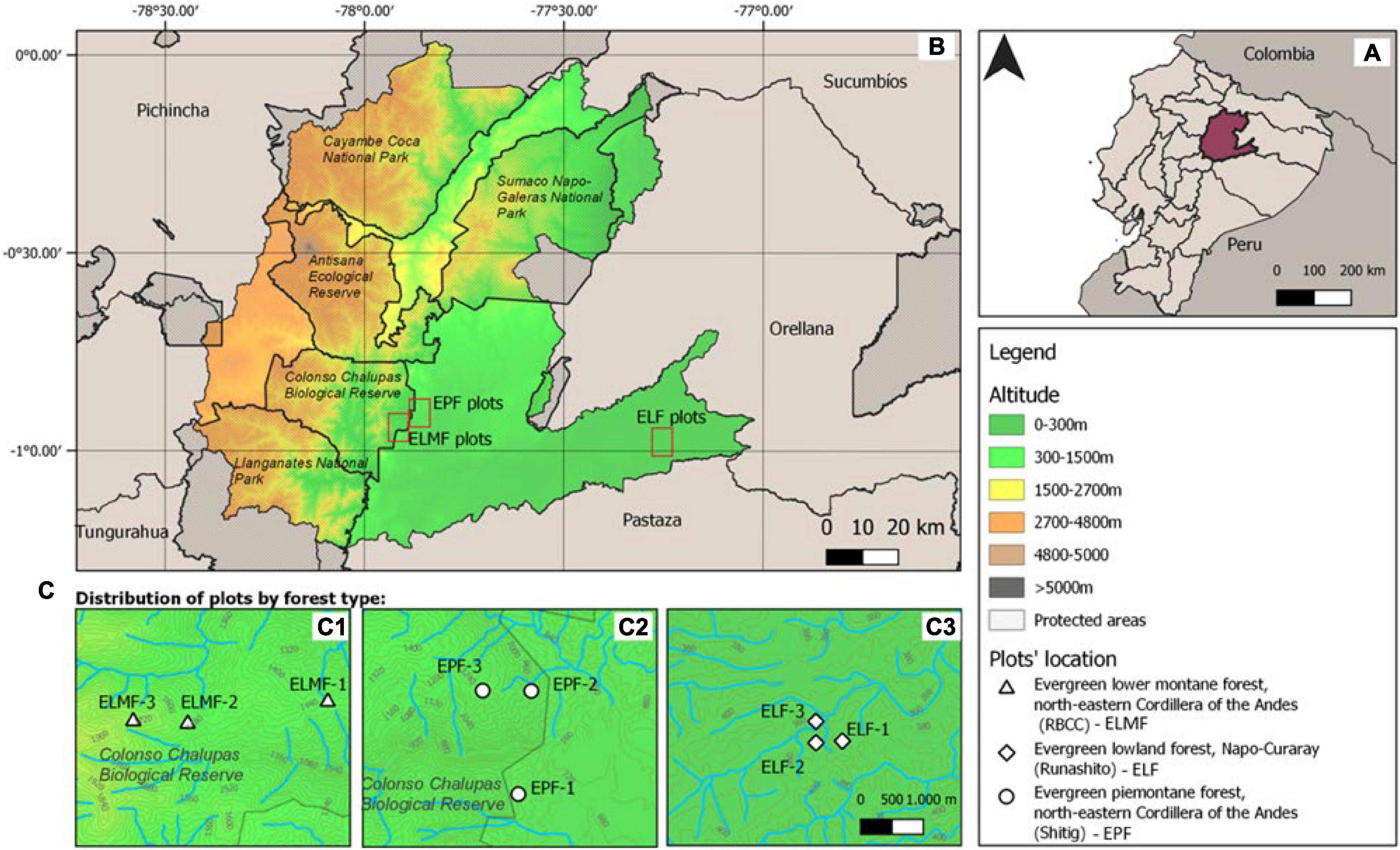 Frontiers  Wood density is related to aboveground biomass and productivity  along a successional gradient in upper Andean tropical forests