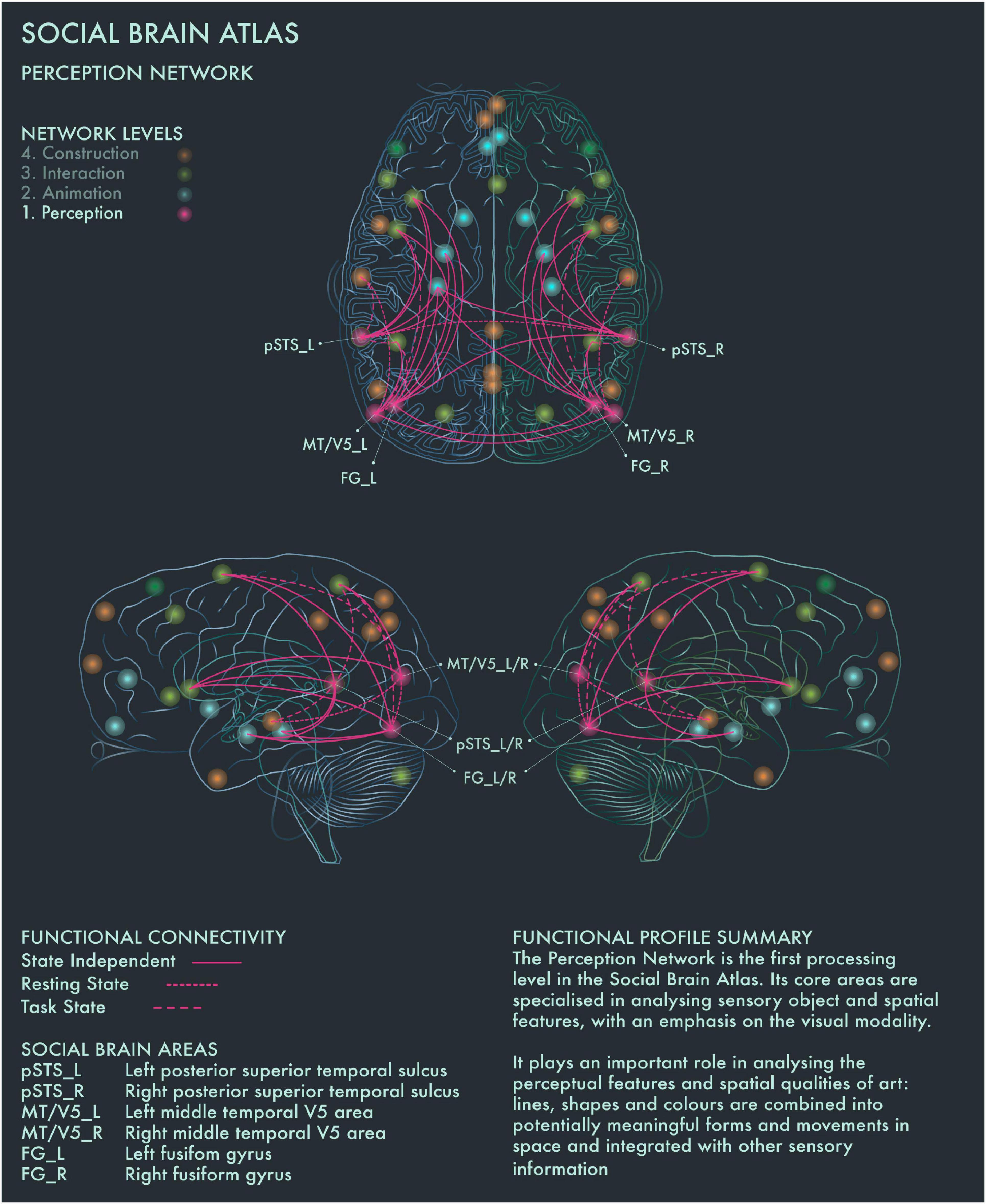 Neuroanatomy: Draw It to Know It for iPad/iPhone