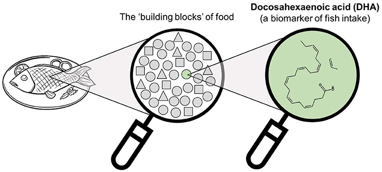 Figure 2 - Foods are the source of thousands of compounds and metabolites (the building blocks), each of which can have a different role on human health.