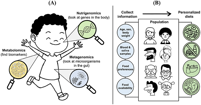 Figure 3 - (A) New omics tools in food and nutrition research help researchers to understand how genes and diet influence each other, how the gut microbiota can impact health, and which biomarkers can help measure food intake more accurately.
