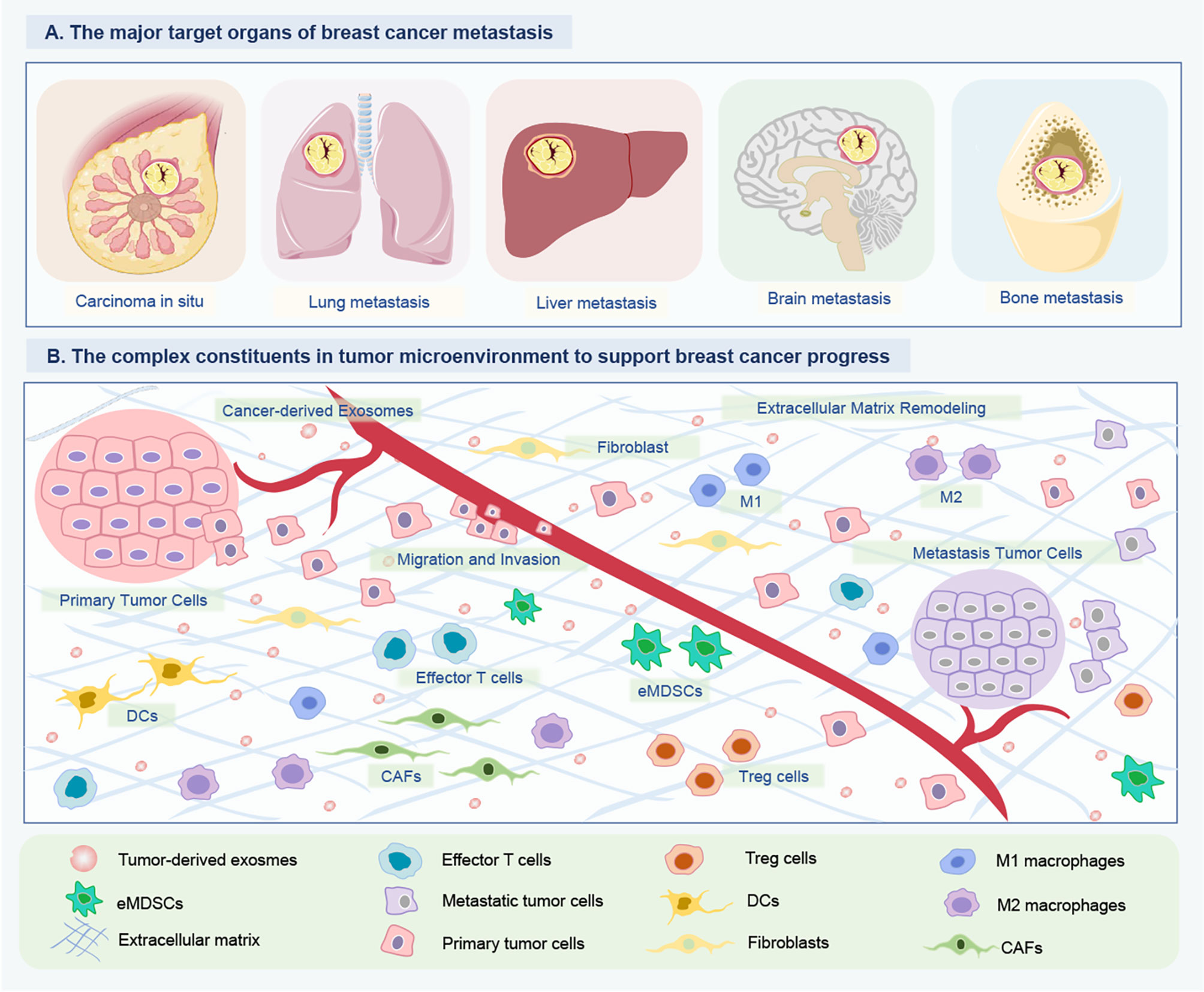 What Are the Symptoms of Breast Cancer? - StoryMD