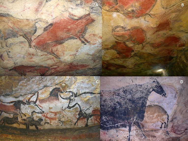 Figure 2 - Art paléolithique dans les grottes.