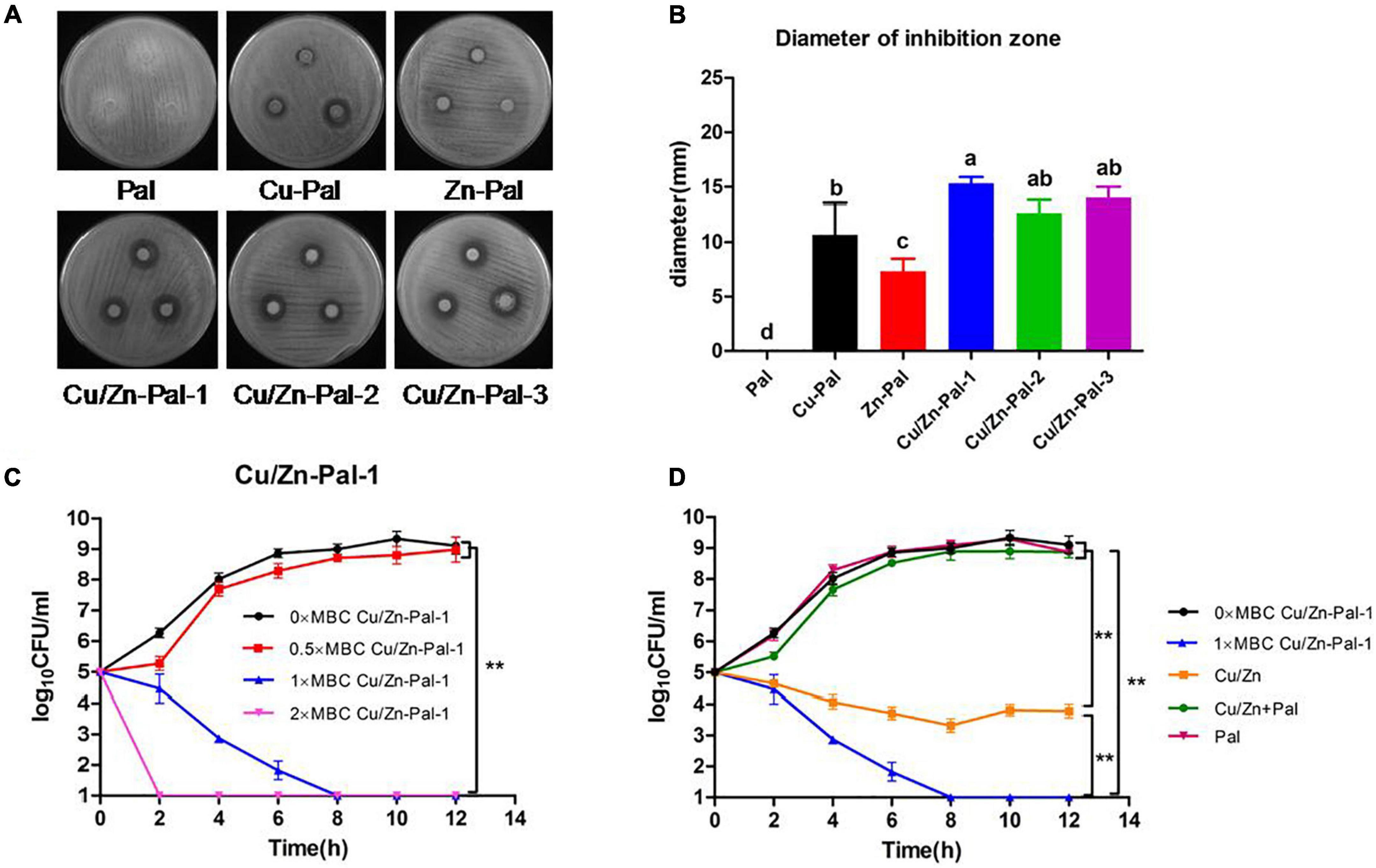 Frontiers Importance of Zinc Nanoparticles for the Intestinal Microbiome of Weaned Piglets