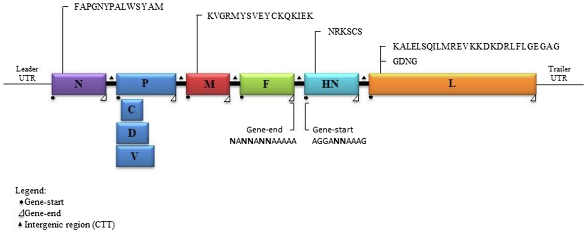 www.frontiersin.org