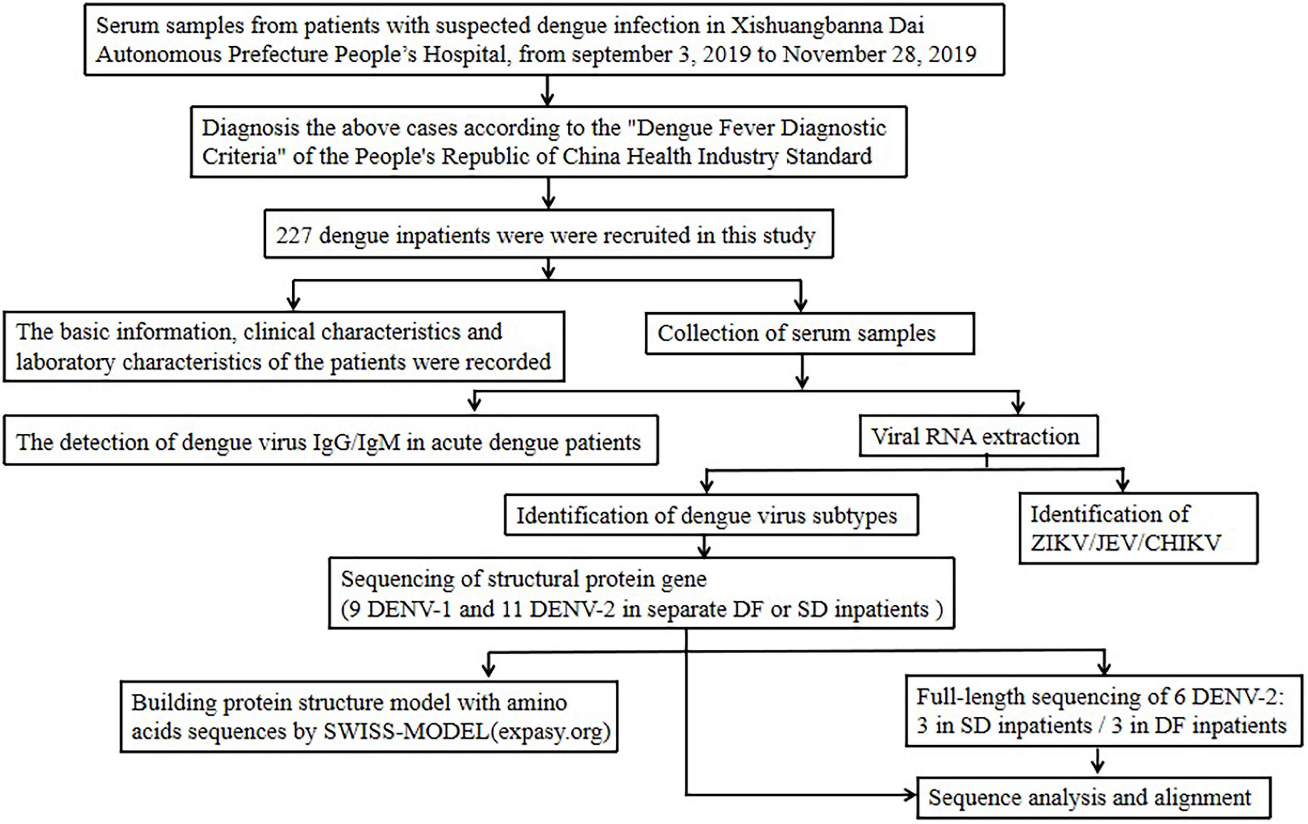 dengue related research papers