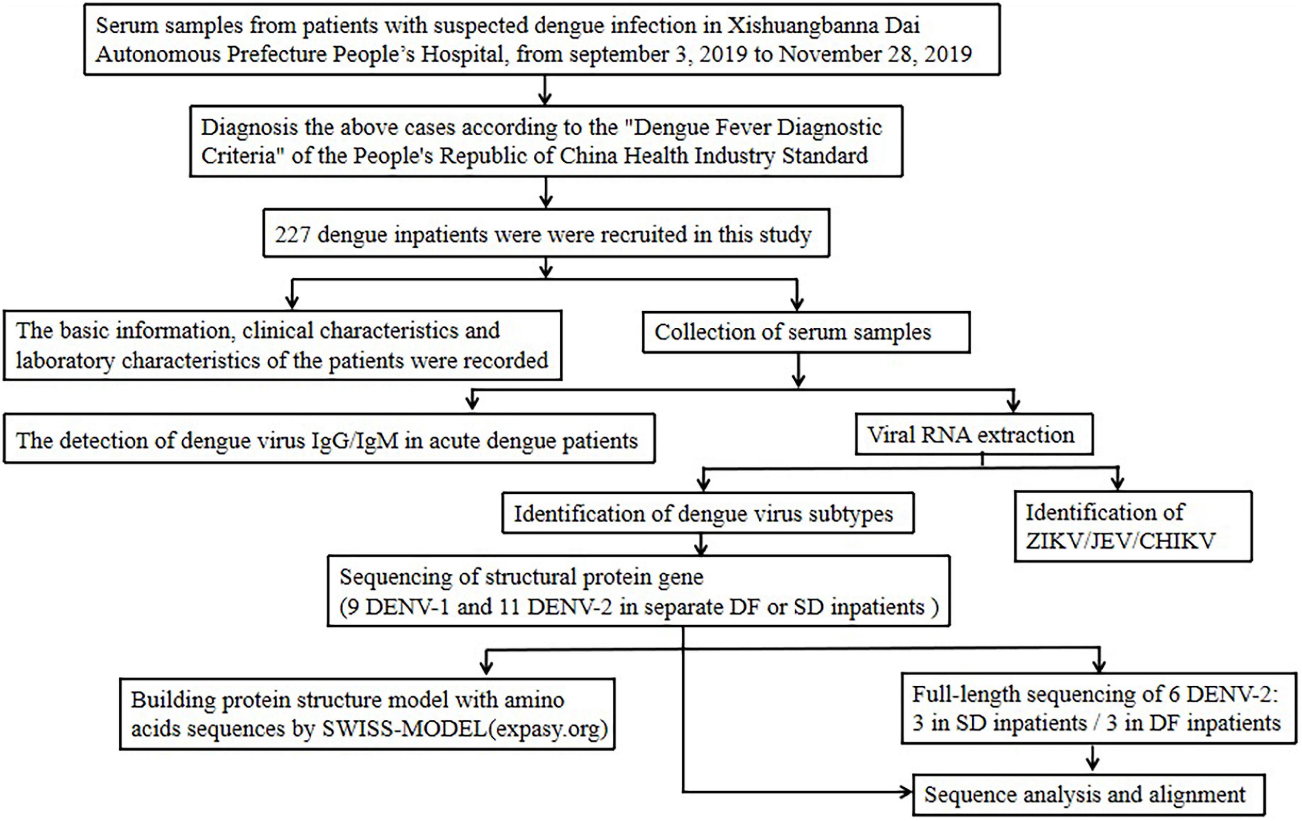 dengue fever syndrome case study scribd