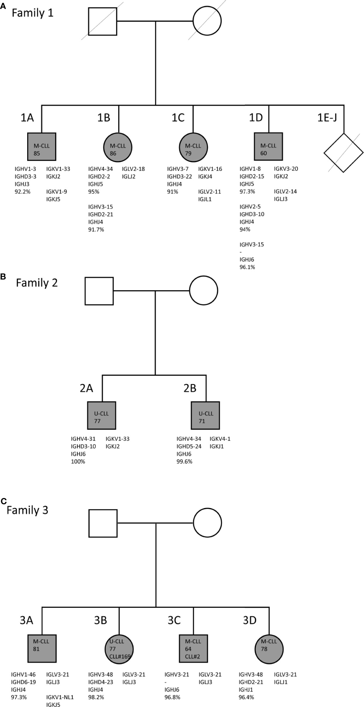 Frontiers Consistent B Cell Receptor Immunoglobulin Features Between Siblings in Familial Chronic Lymphocytic Leukemia