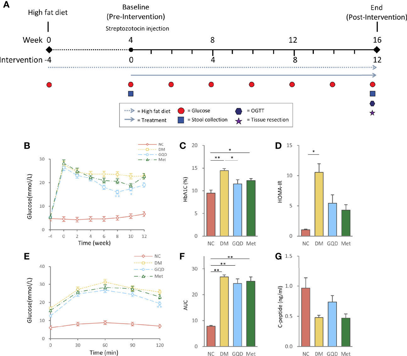 Ni blød Torrent Frontiers | Alleviation Effects of GQD, a Traditional Chinese Medicine  Formula, on Diabetes Rats Linked to Modulation of the Gut Microbiome |  Cellular and Infection Microbiology