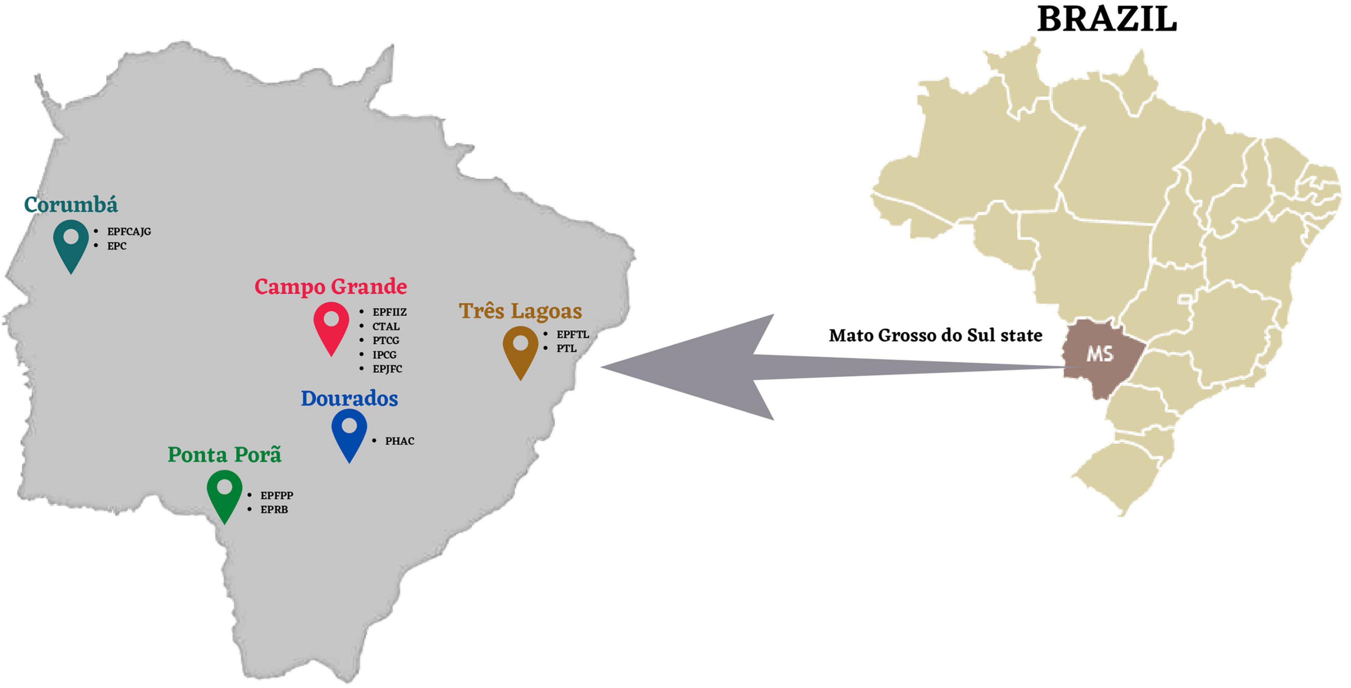 www.frontiersin.org