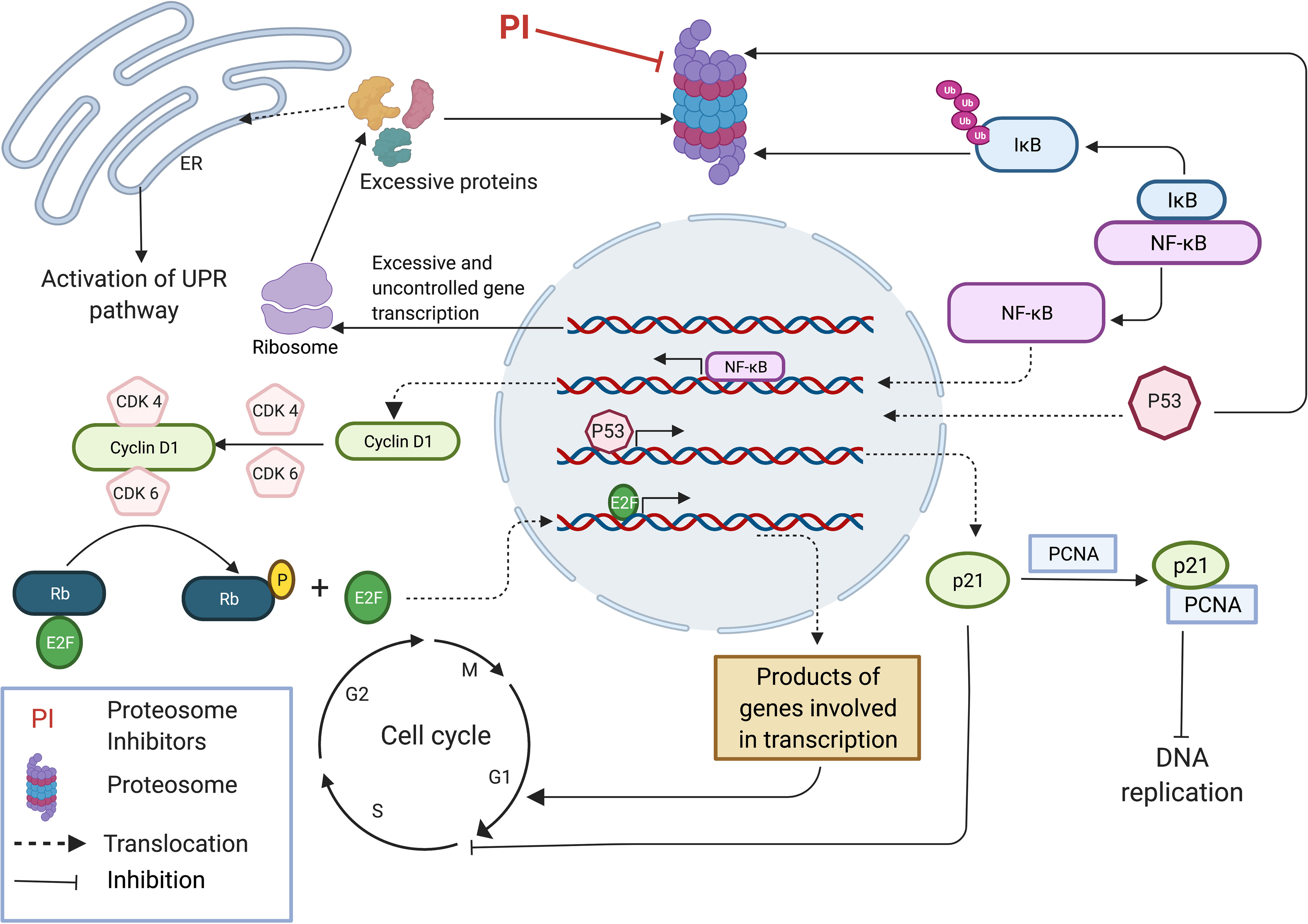 Uanset hvilken bundt Maxim Frontiers | Carfilzomib: A Promising Proteasome Inhibitor for the Treatment  of Relapsed and Refractory Multiple Myeloma | Oncology