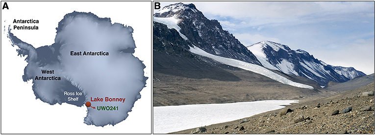 Figure 2 - (A) Map of Antarctica showing where Lake Bonney is located (Image credit: NASA Earth Observatory) (B) Image of Lake Bonney, with mountain and glacier in background (Image credit: Wikimedia-Commons, 2021).