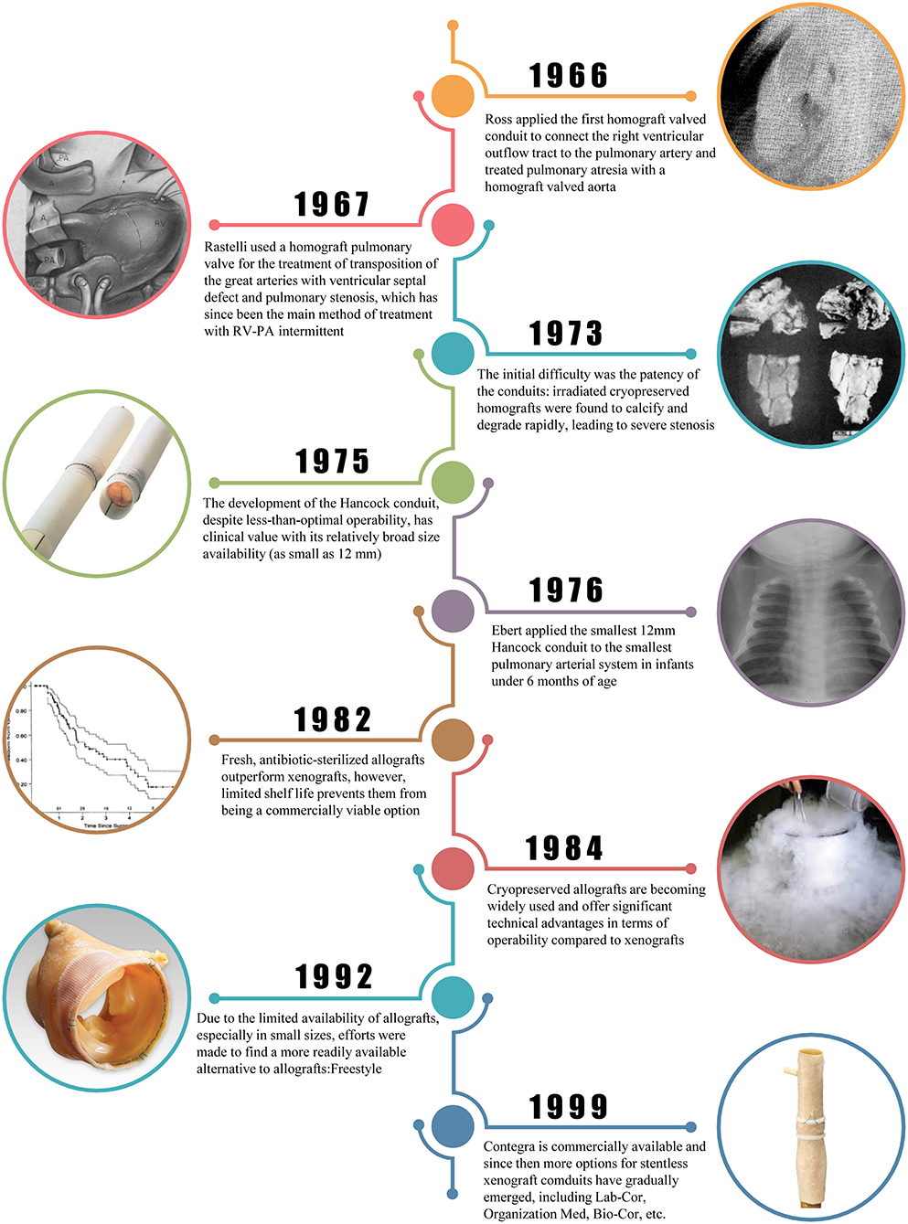 Frontiers Application of Homograft Valved Conduit in Cardiac Surgery pic