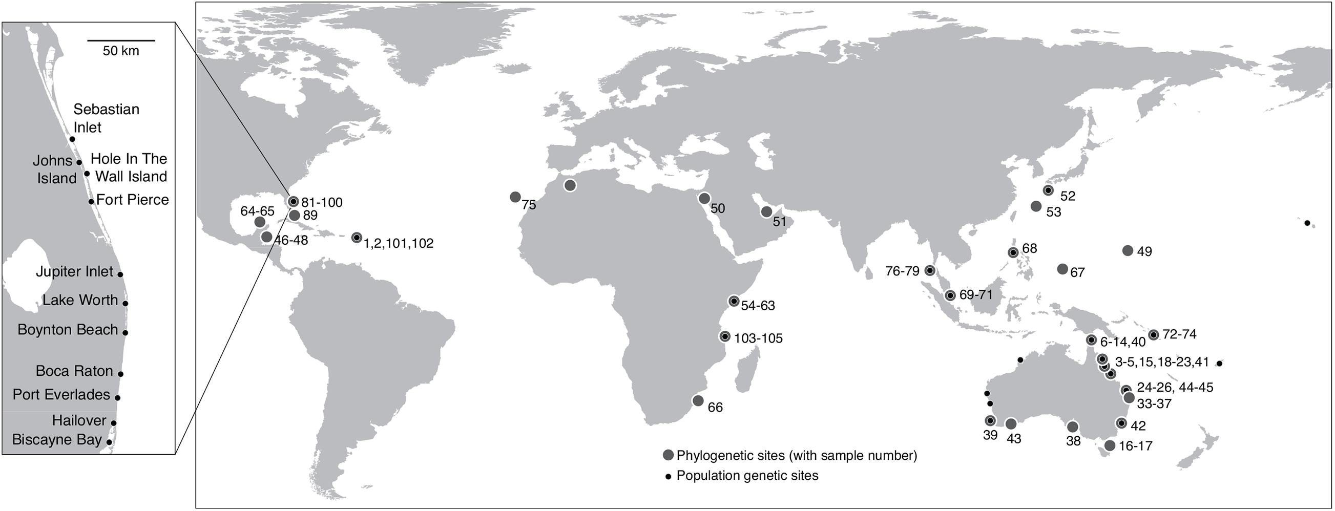 www.frontiersin.org