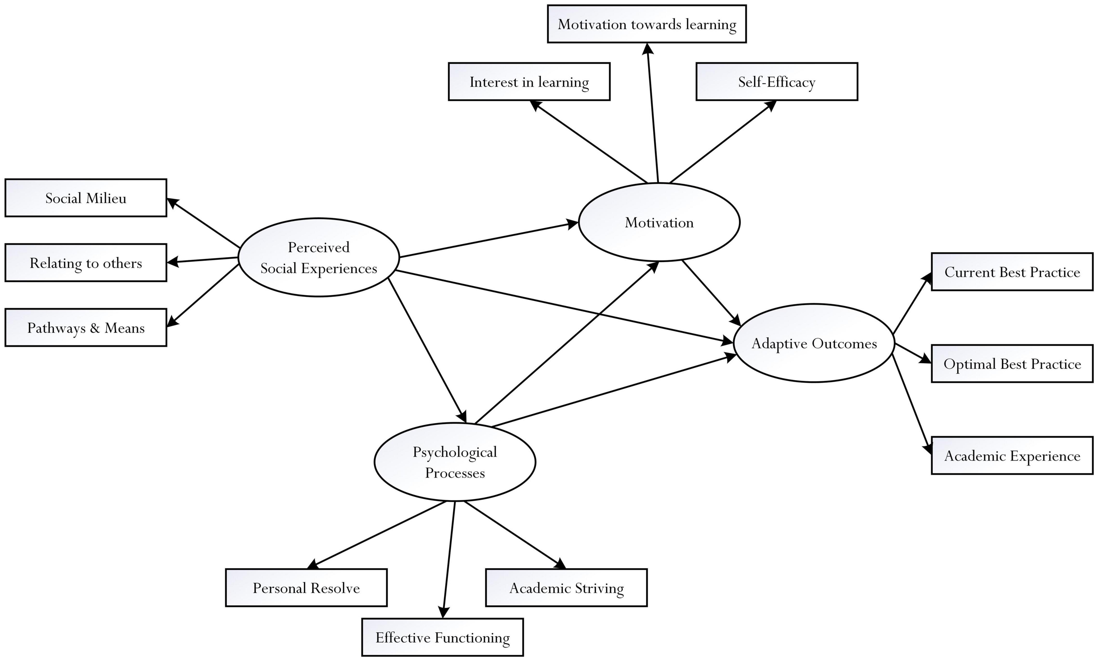 Frontiers | Interrelationships Between Psychosocial, Motivational 