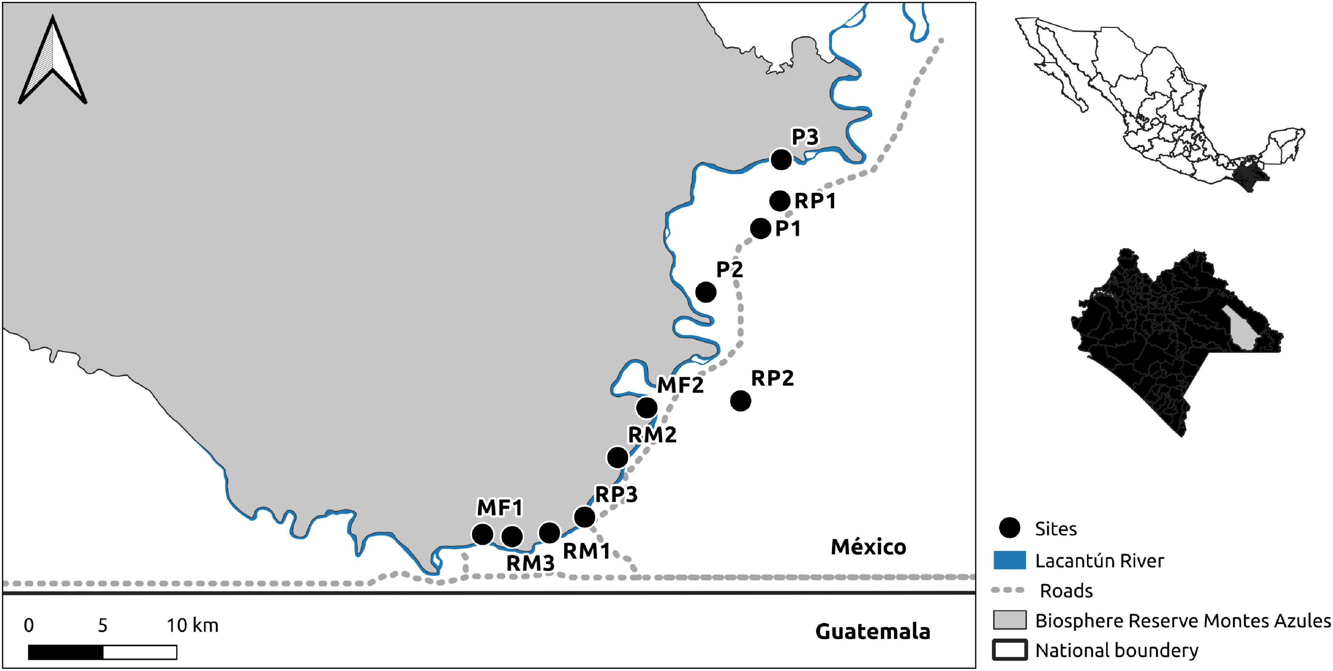 Frontiers  Ecosystems Services Provided by Bats Are at Risk in Brazil