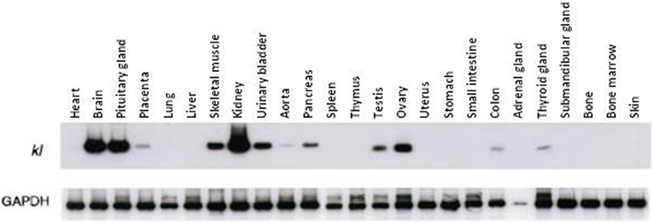 www.frontiersin.org