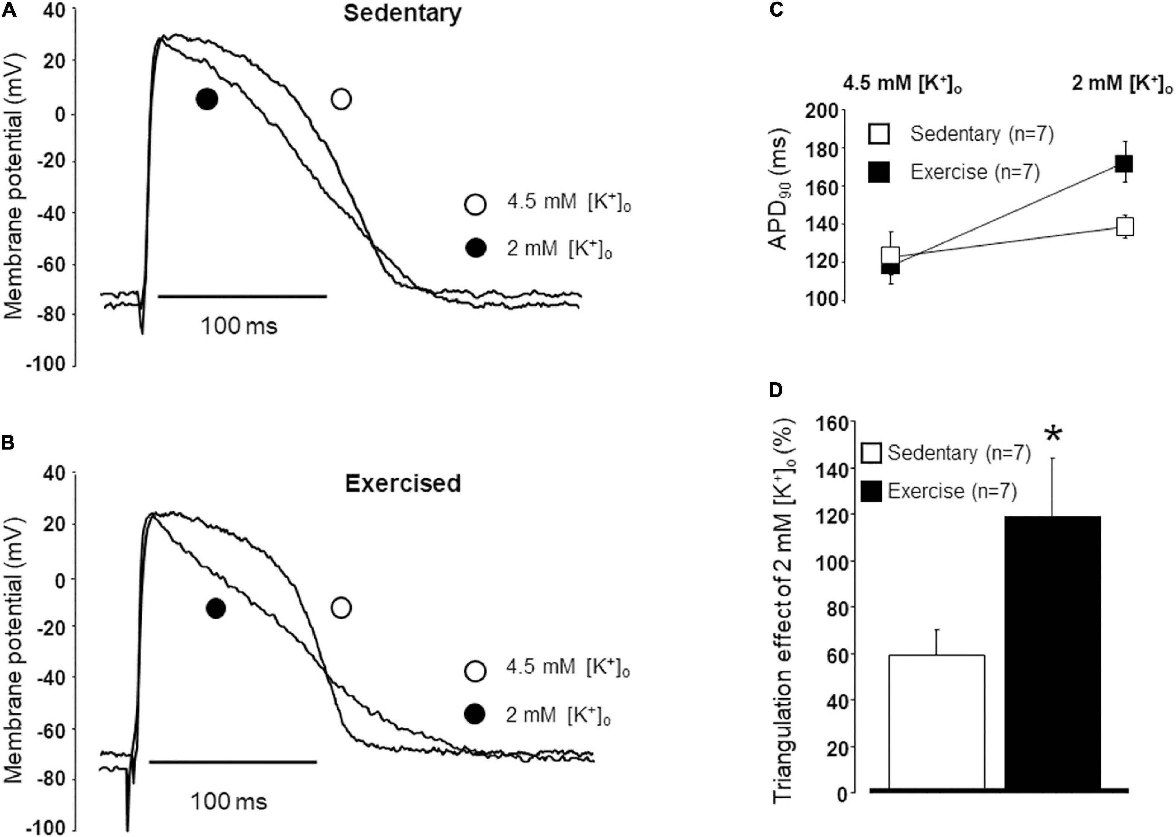 Frontiers | Long-Term Endurance Exercise Training Alters Repolarization in  a New Rabbit Athlete\'s Heart Model