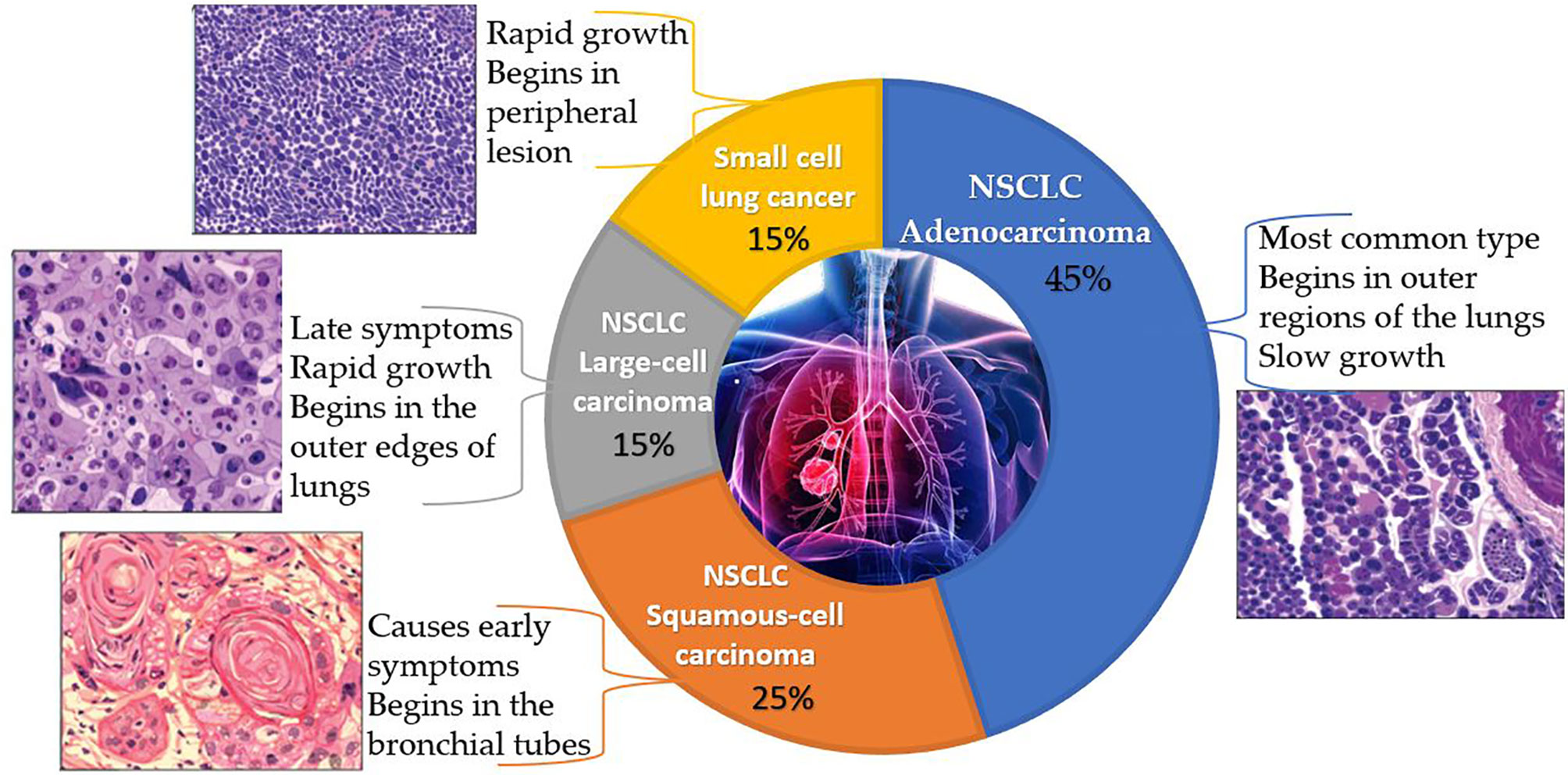 Frontiers Everything Old Is New Again Drug Repurposing Approach For 