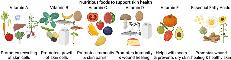 Figure 2 - Examples of vitamins and food sources that support healthy skin.