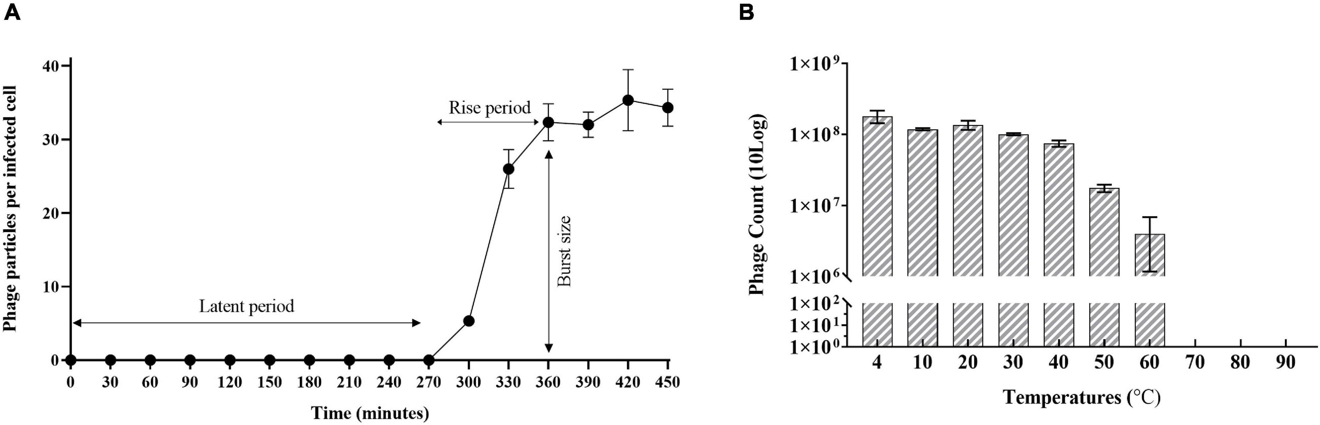 Jumbophage PCH45 evades type I, but not type III, CRISPR-Cas immunity.