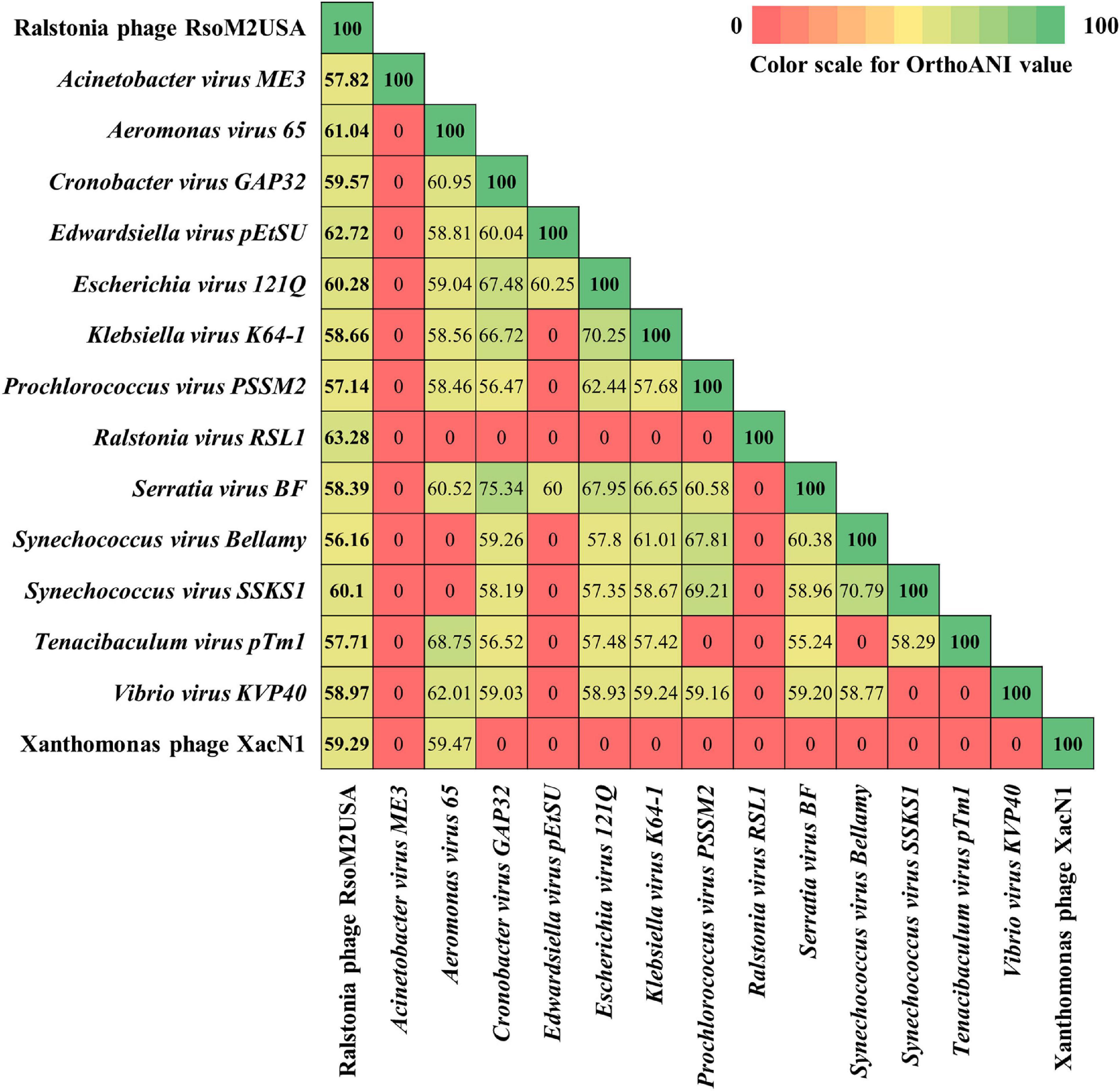 Jumbophage PCH45 evades type I, but not type III, CRISPR-Cas immunity.