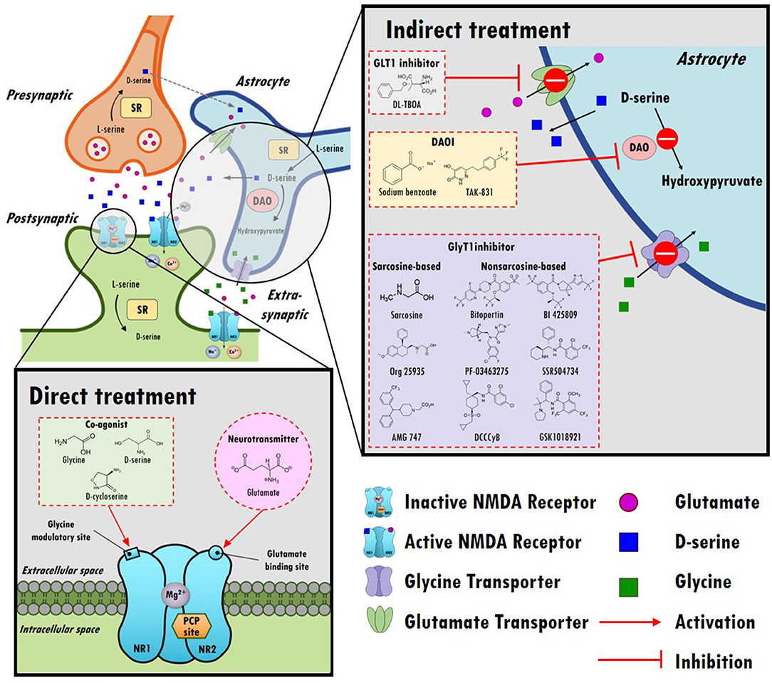 D cycloserine nmda clearance receptor