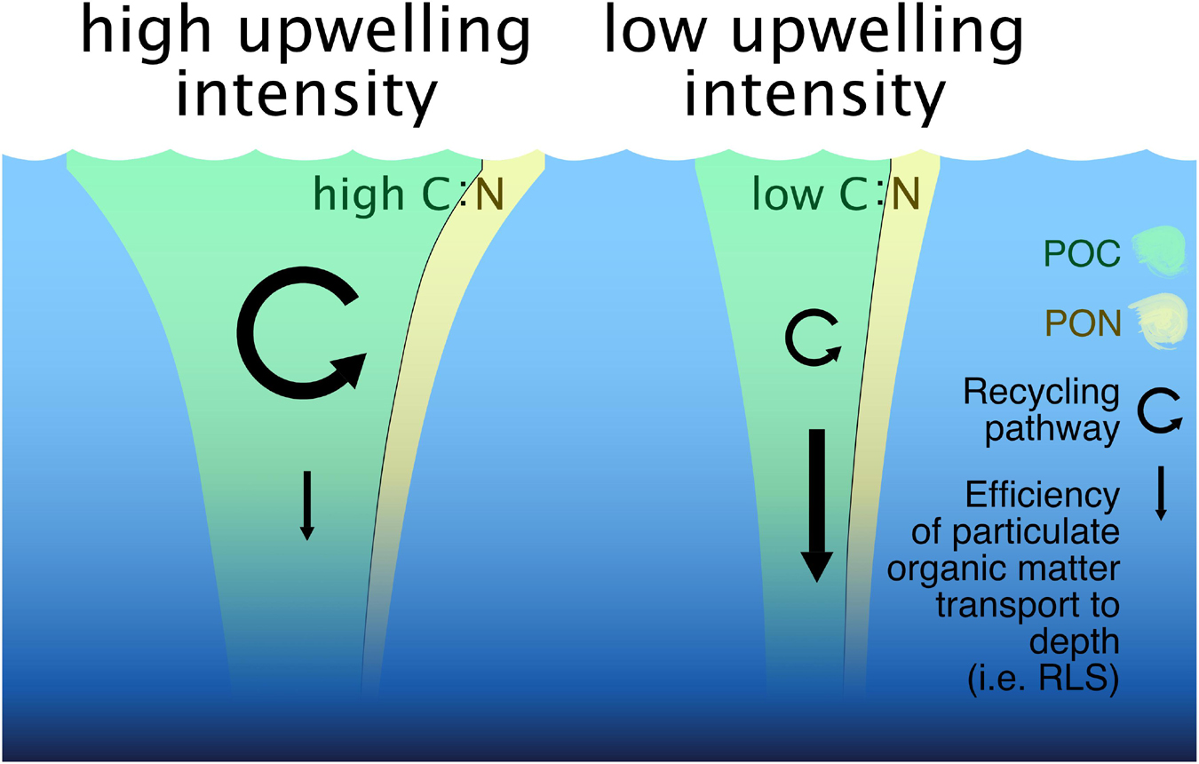 Frontiers Effect Of Intensity And Mode Of Artificial Upwelling On Particle Flux And Carbon Export