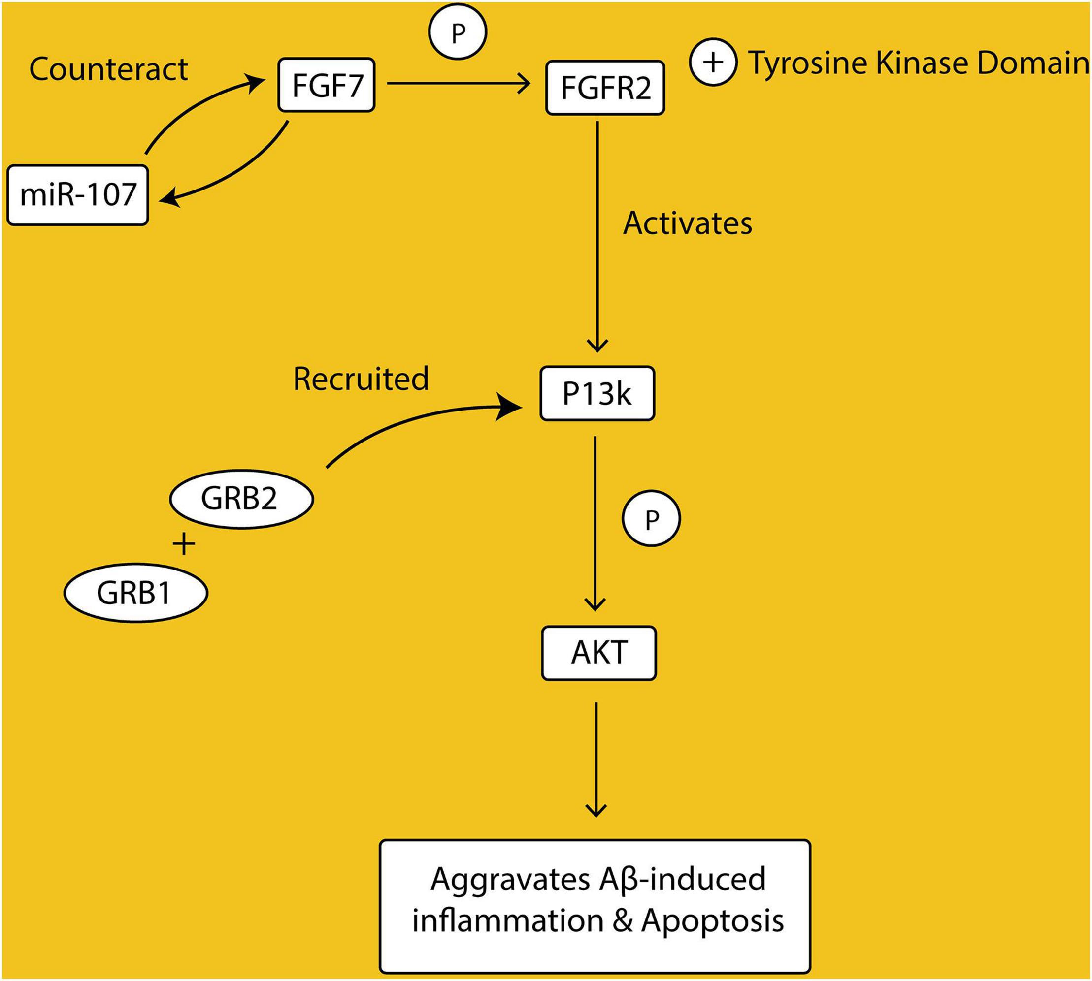 New insights into the genetic etiology of Alzheimer's disease and related  dementias