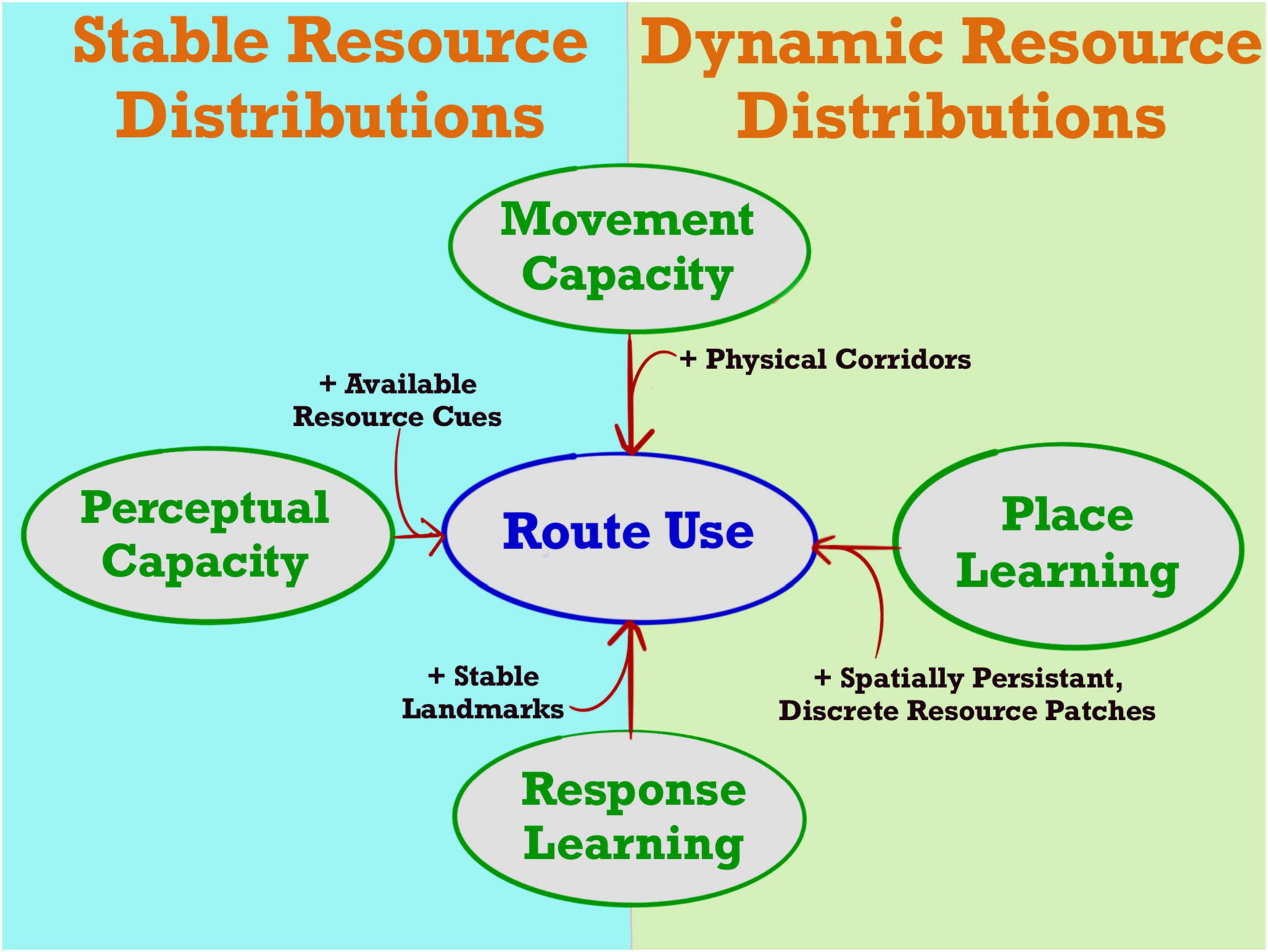 Frontiers | A Quantitative Framework for Identifying Patterns of Route-Use in Animal Movement Data Frontiers | A Quantitative Framework for Identifying Patterns of Route-Use in Animal Movement Data
