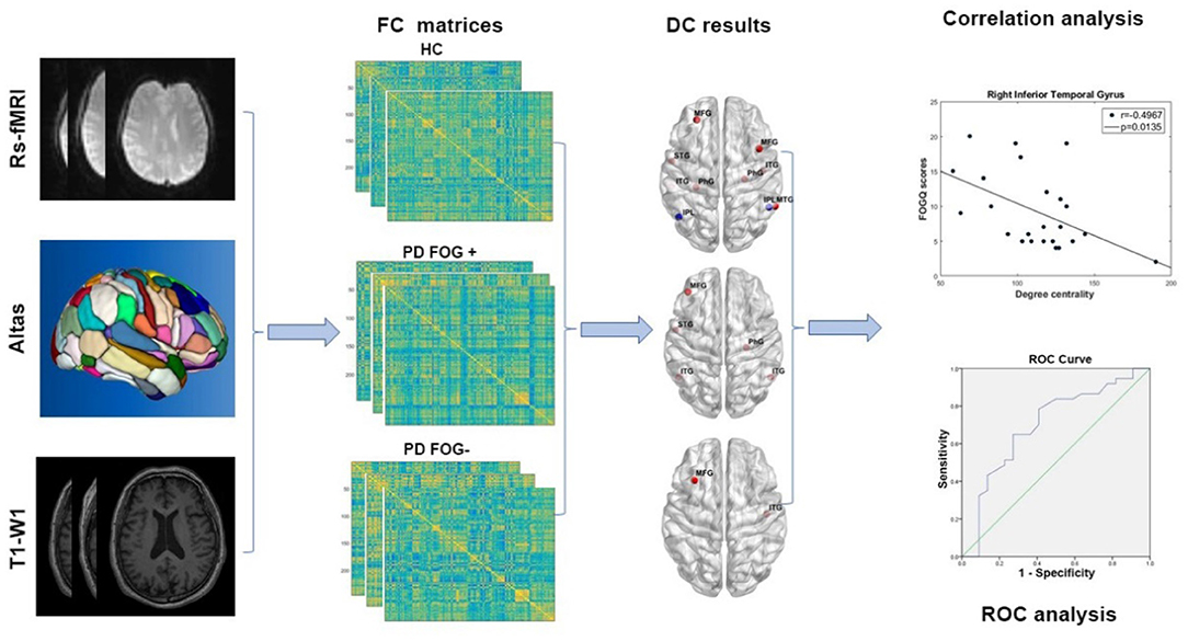 Frontiers  Caught in the thickness of brain fog: exploring the