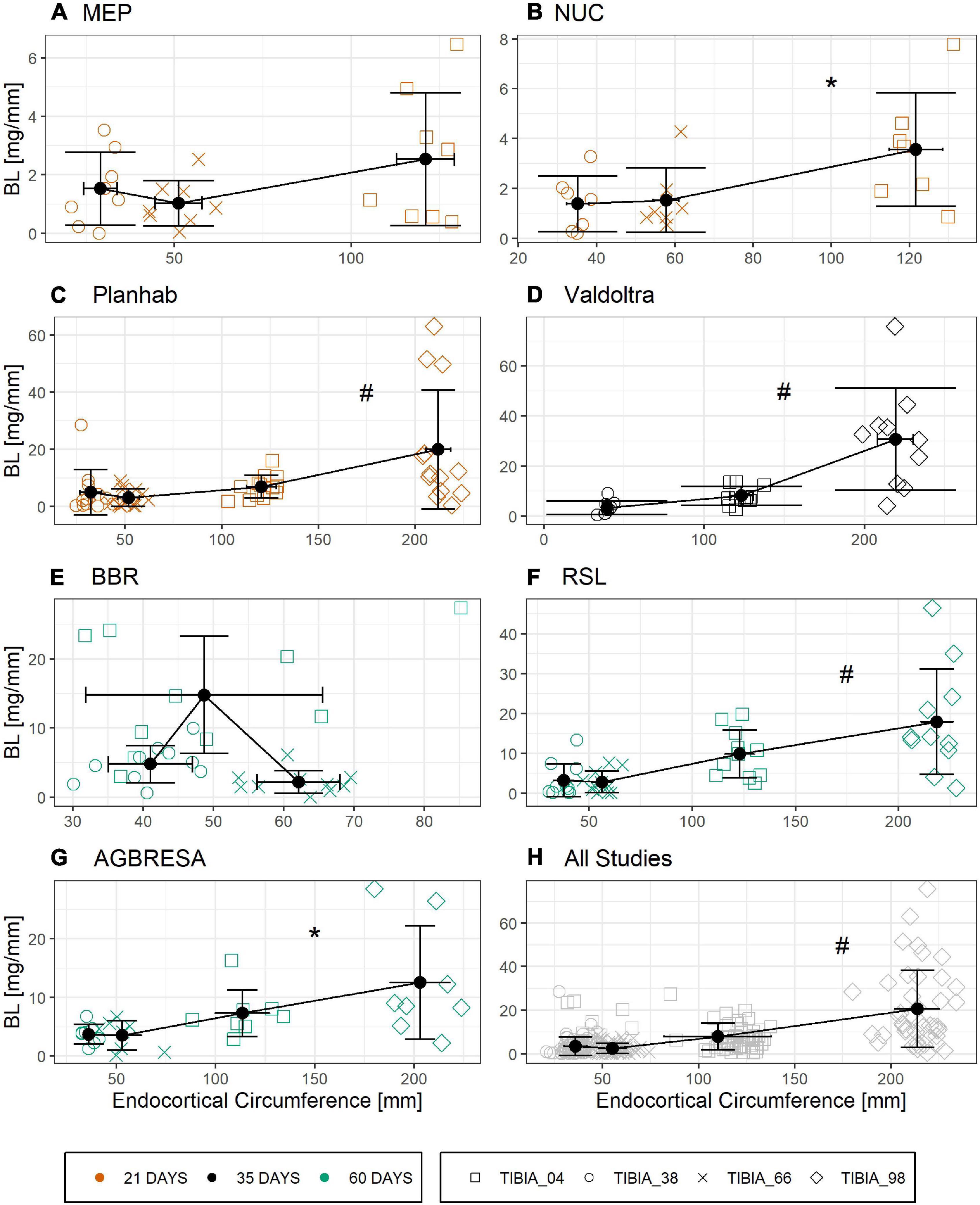 Frontiers  Between-Subject and Within-Subject Variaton of Muscle