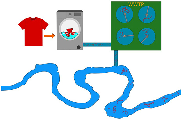 Figure 1 - Clothing fibers are lost from clothes when they are washed.