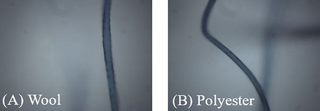 Figure 2 - (A) A wool fiber from a sheep, and (B) a plastic fiber made from polyester, as seen under the microscope.
