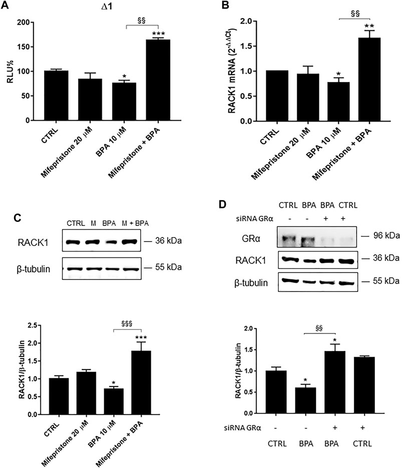 Frontiers | Effects of Bisphenols on RACK1 Expression and Their ...