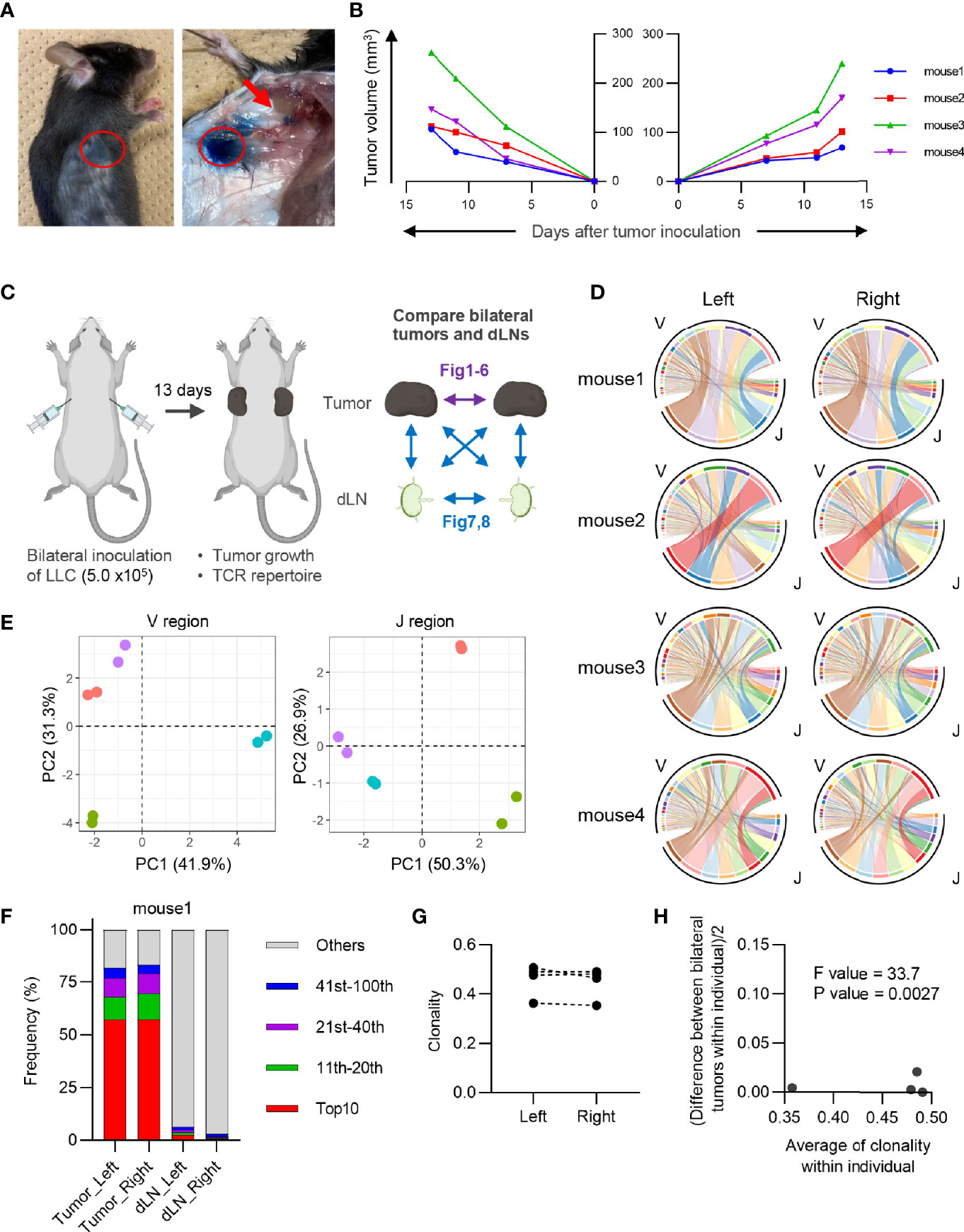 Comparison of mouse models reveals a molecular distinction between